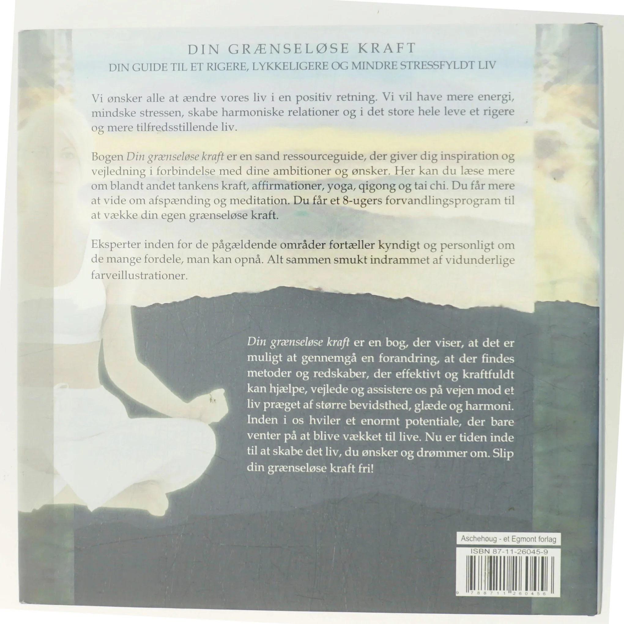 Din grænseløse kraft af Ewa Forkélius (Bog)