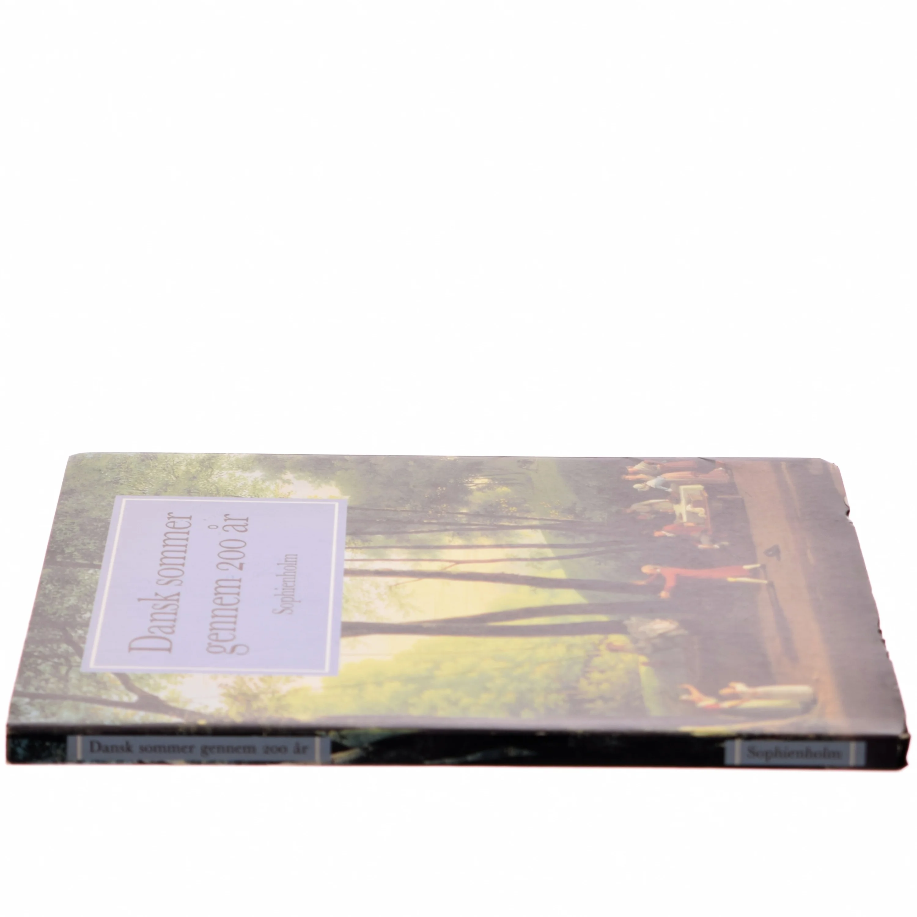 Kunstbog: “Dansk sommer gennem 200 år”