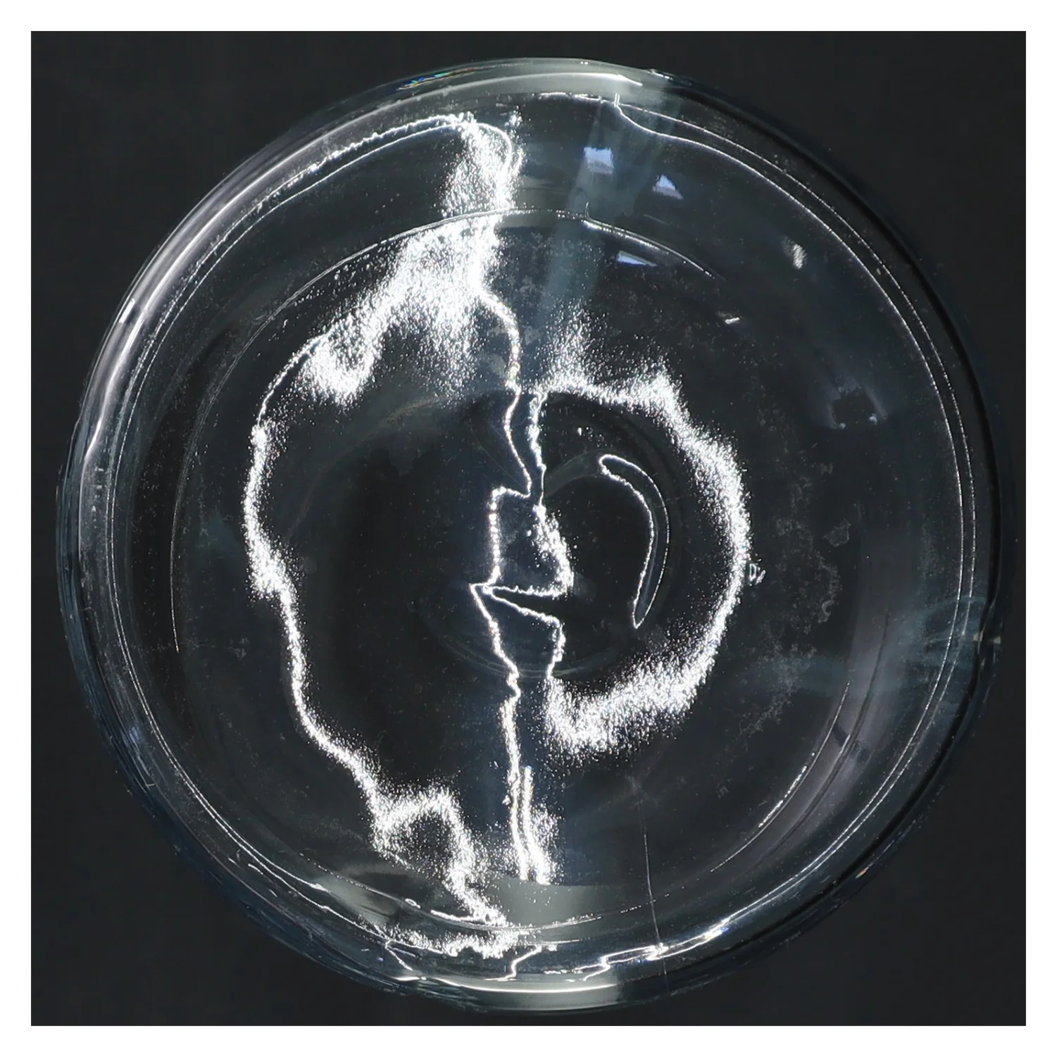 Grand Cru Karaffel i glas fra Rosendahl (str. 26 cm)