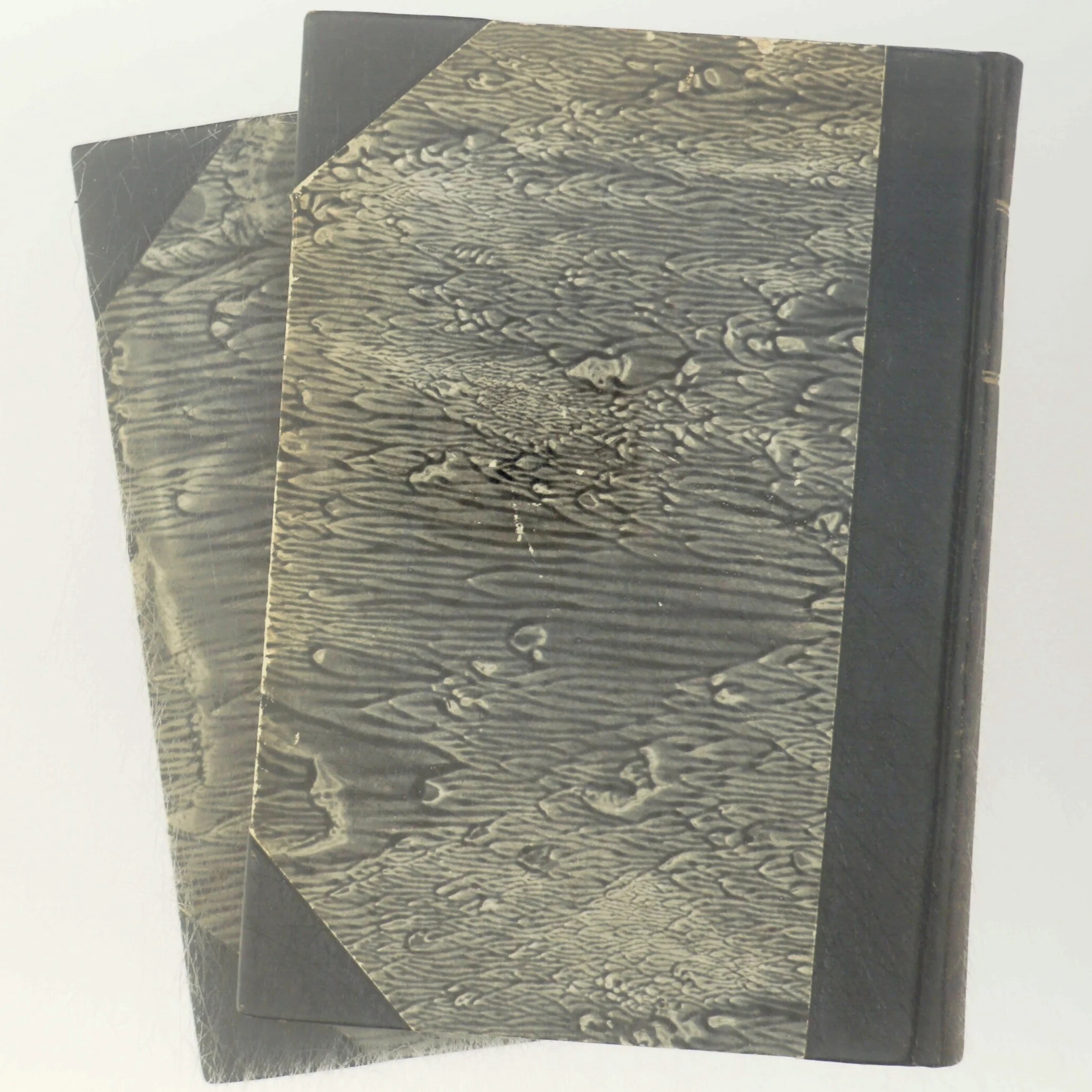 Gamle bind af 'Nordisk Tidsskrift'