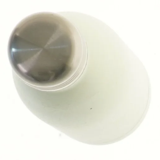 Termoflaske i rustfrit stål (str. 26 cm)