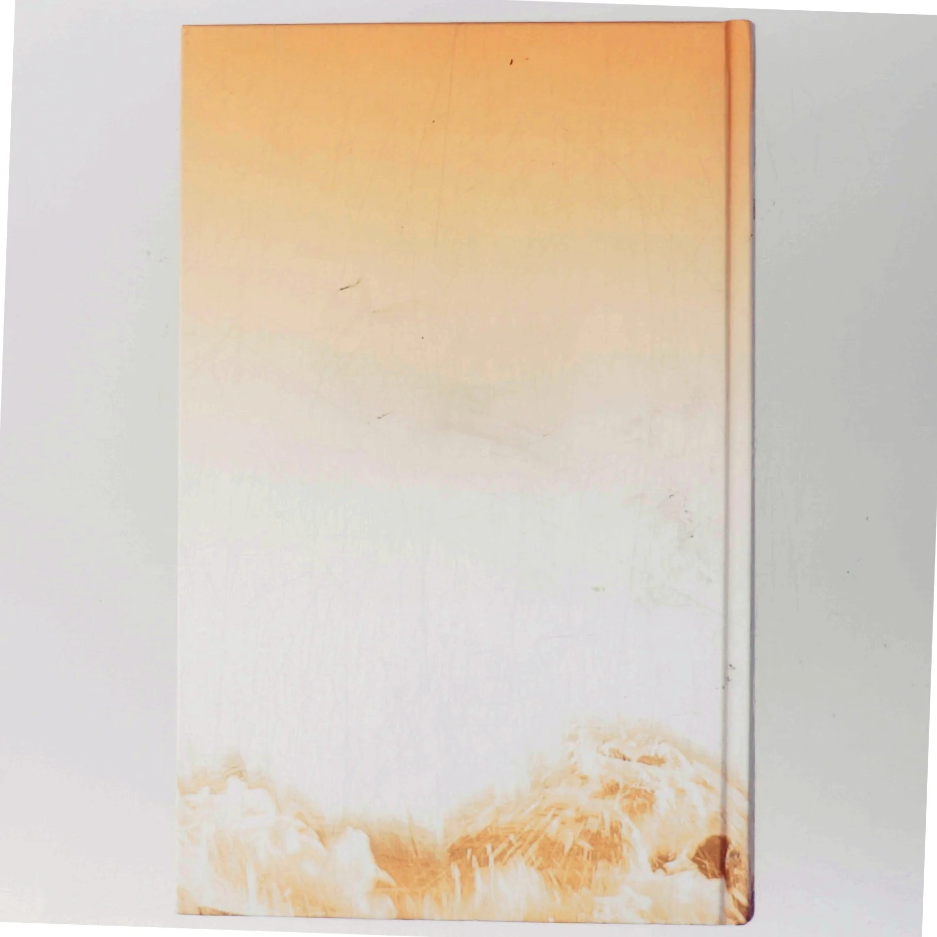 Ravenscars Arvinger af Barbara Taylor Bradford (Bog)