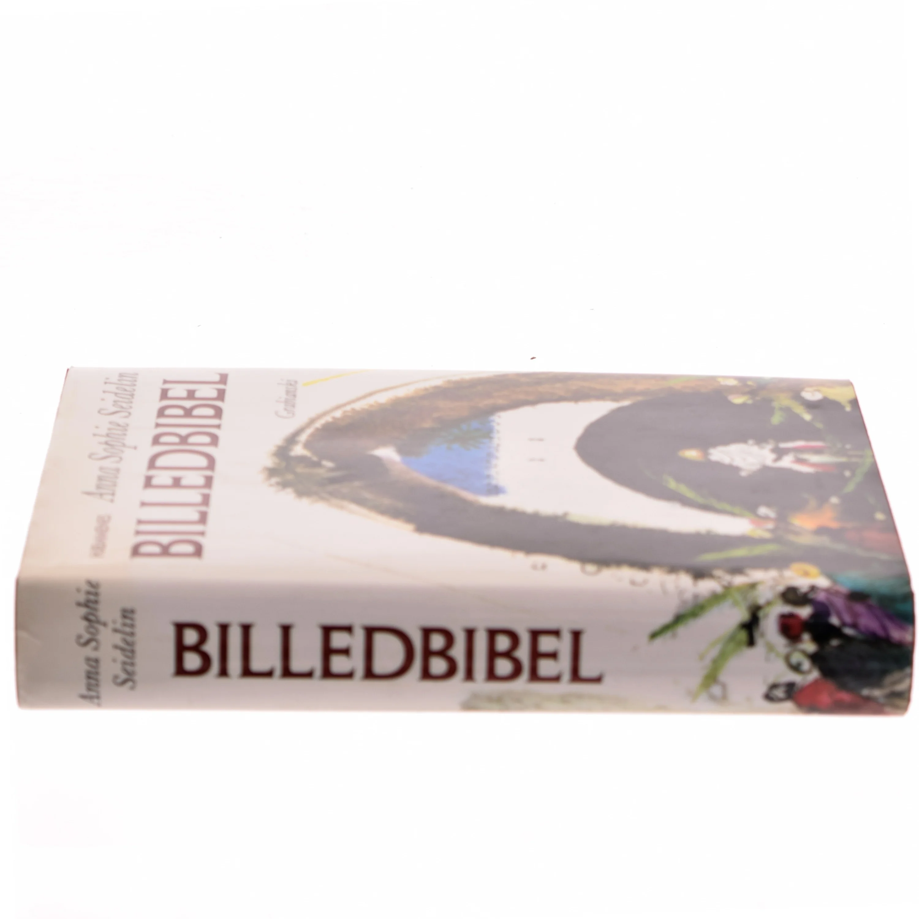 Billedbibel af Anna Sophie Seidelin (Bog)