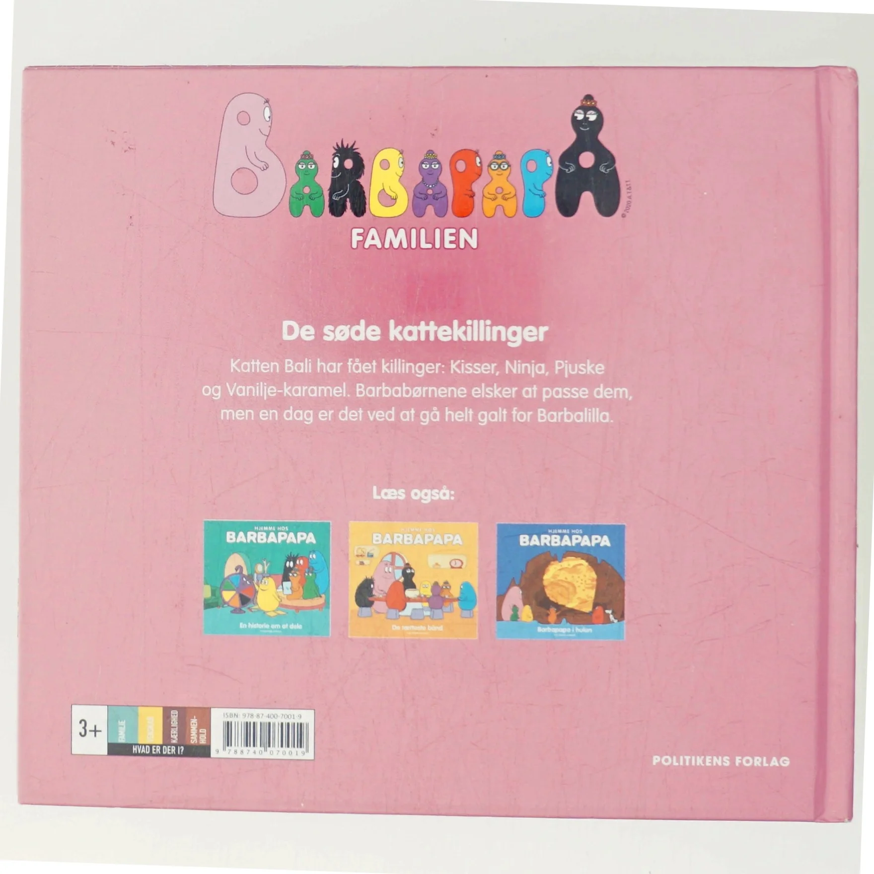 Hjemme hos Barbapapa - de søde kattekillinger (Bog)