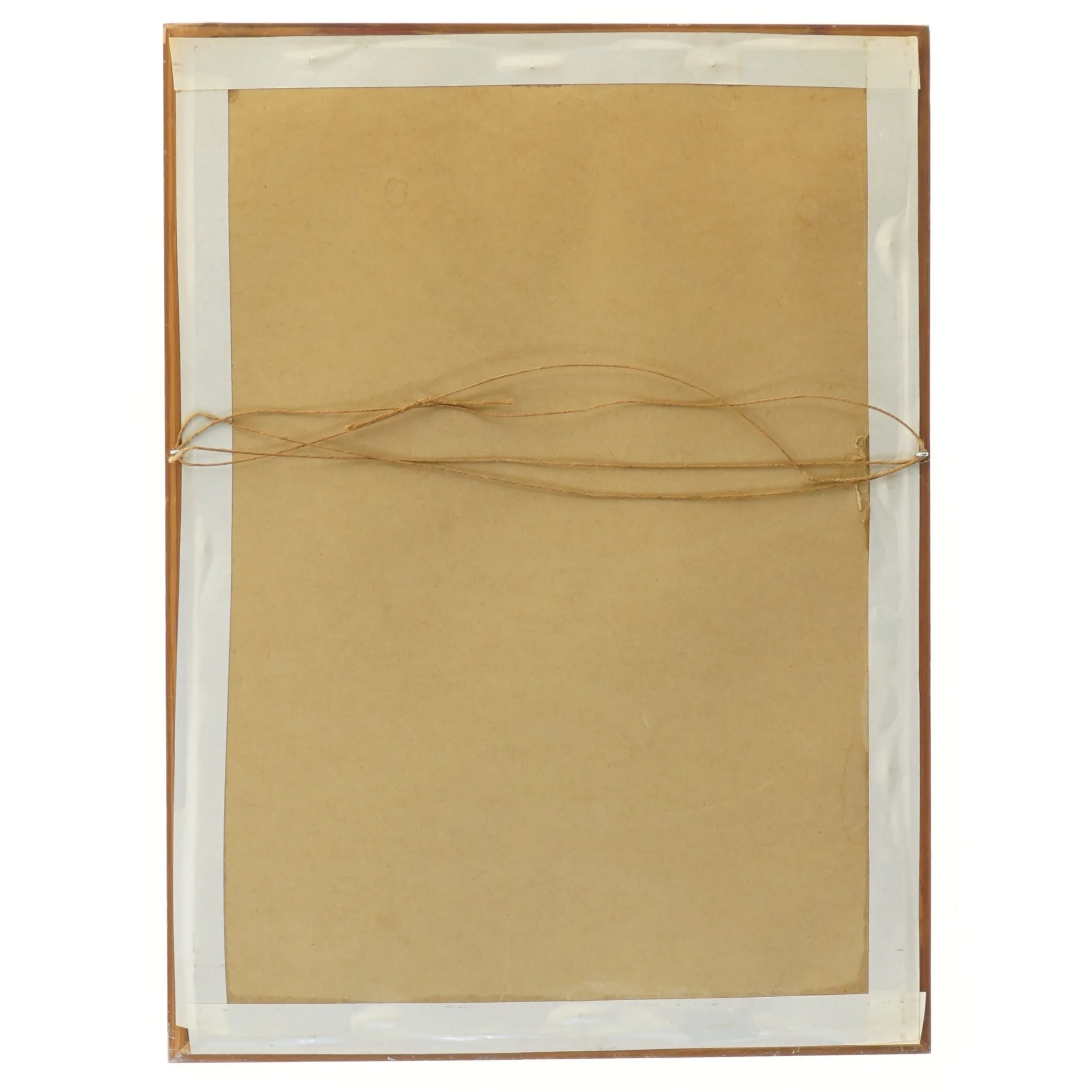 Billede af tukaner i ramme (str. 39x29 cm)