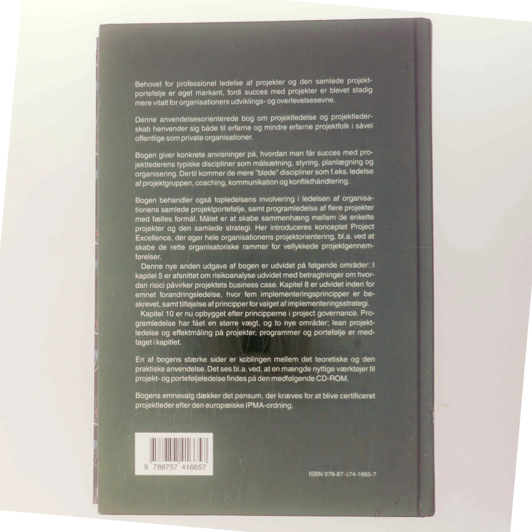 Power i projekter og portefølje (Bog)