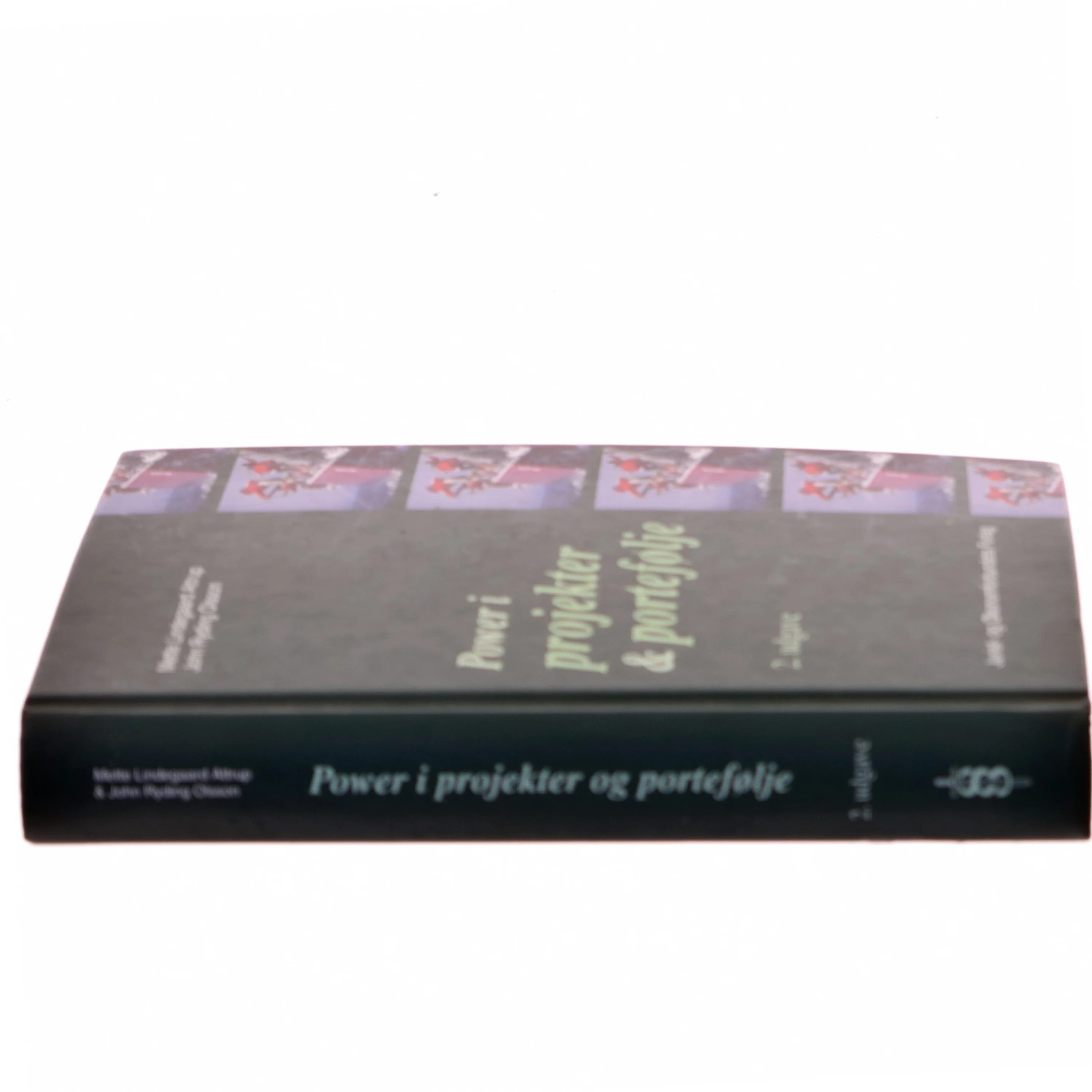 Power i projekter og portefølje (Bog)