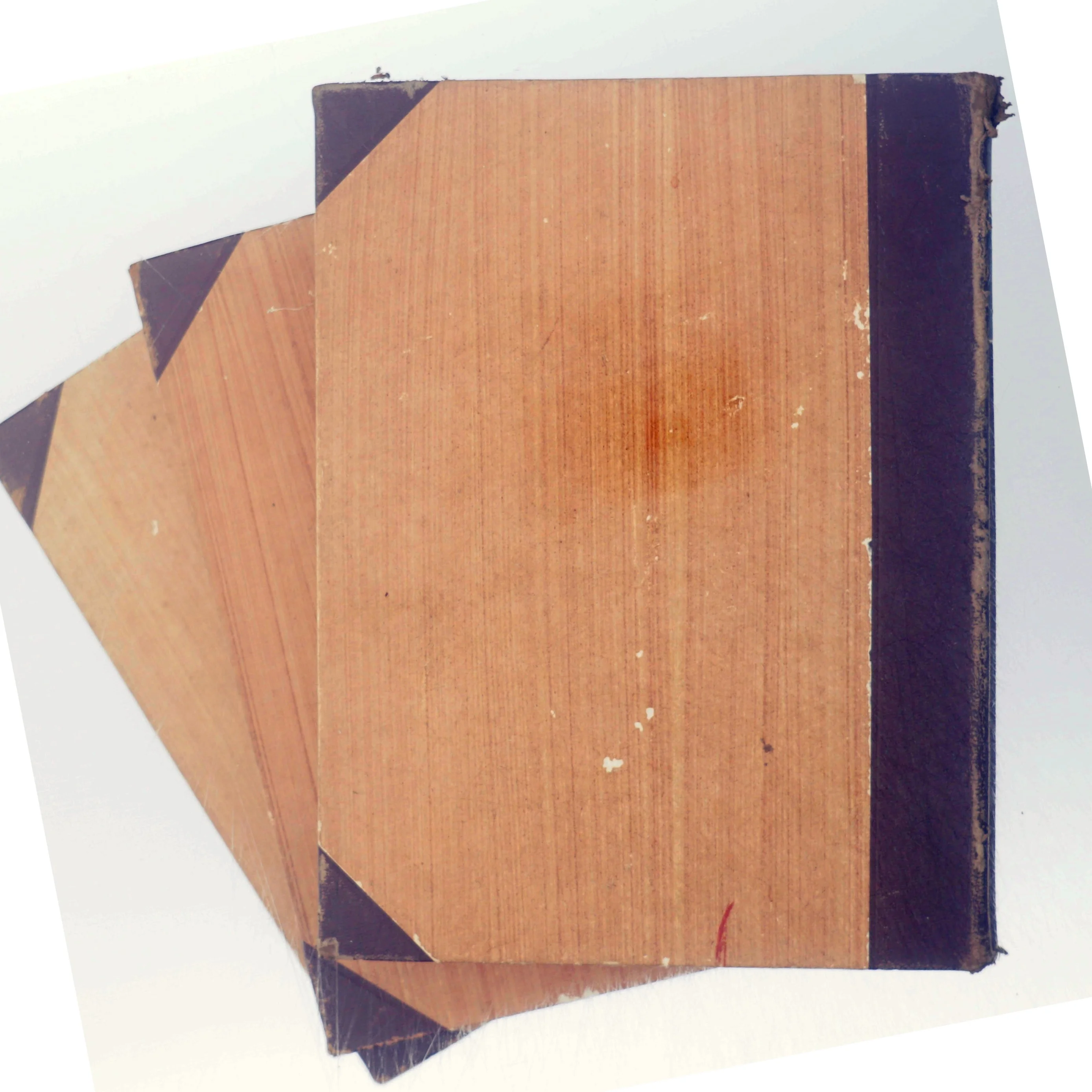 Vort lands dyreliv 1-3