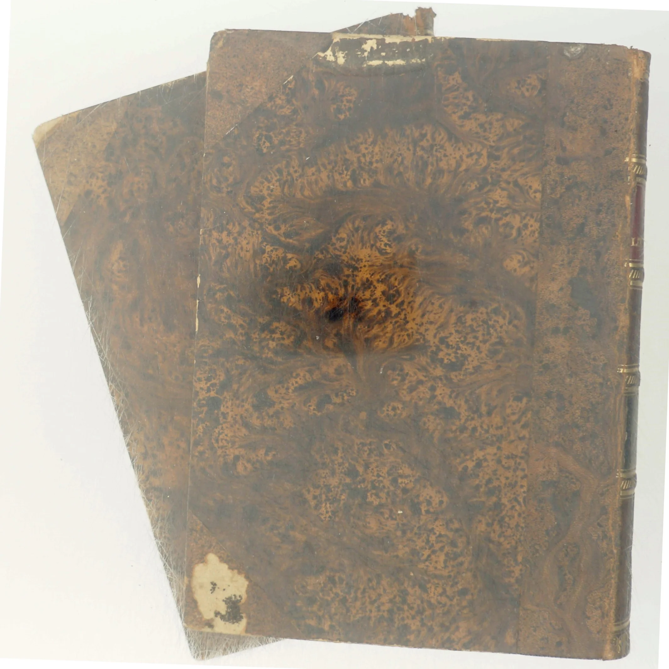 Dansk litterarturhistorie