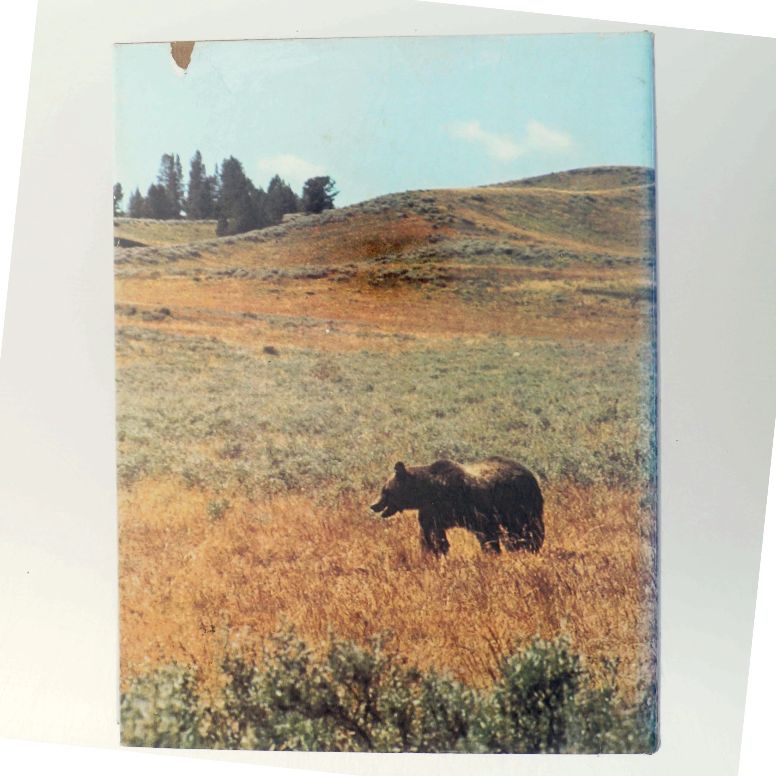 Bog om Nordamerikas natur og dyreliv fra Life