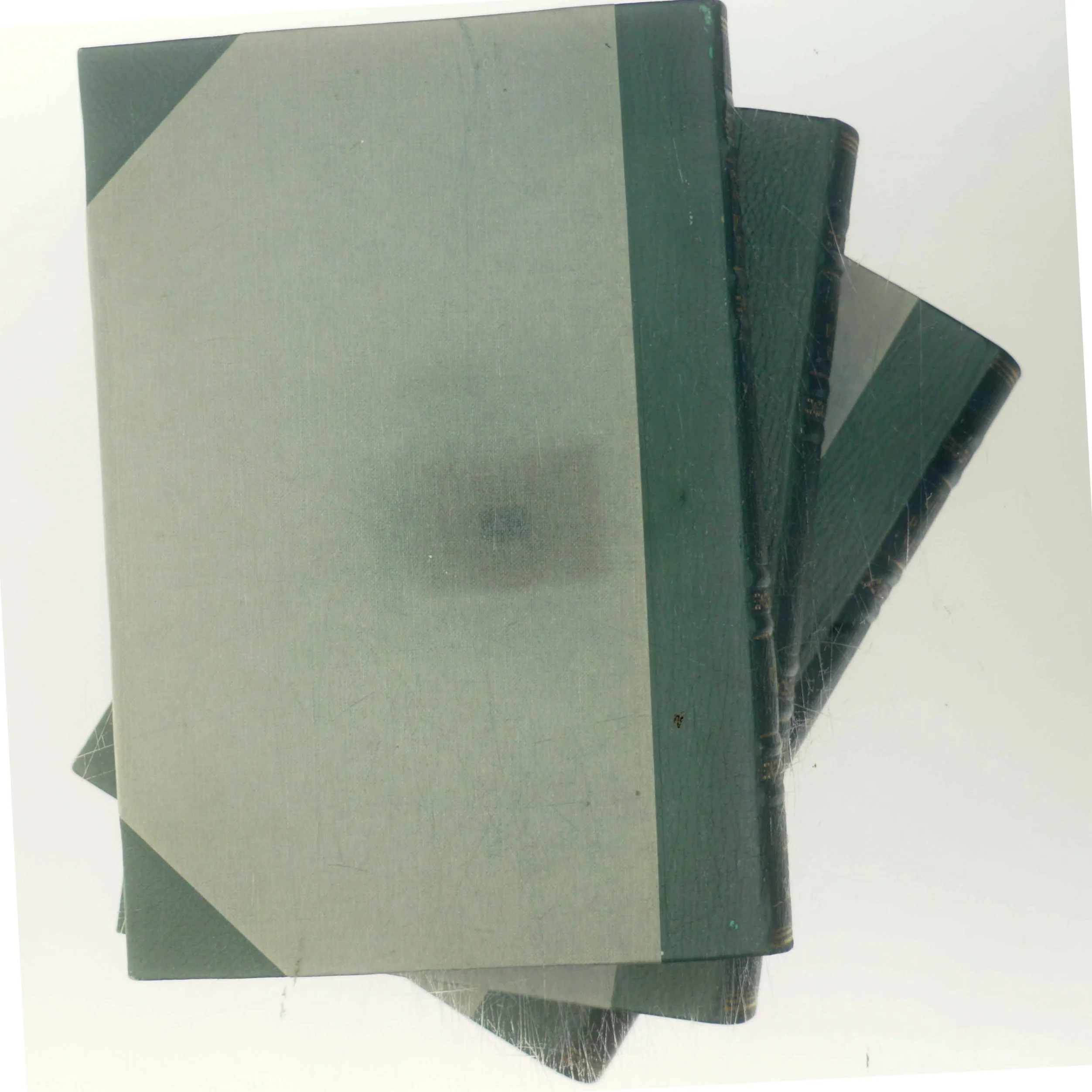 Danske Fugle i Toner og Farver af <Bogens forfattere> (Bog)