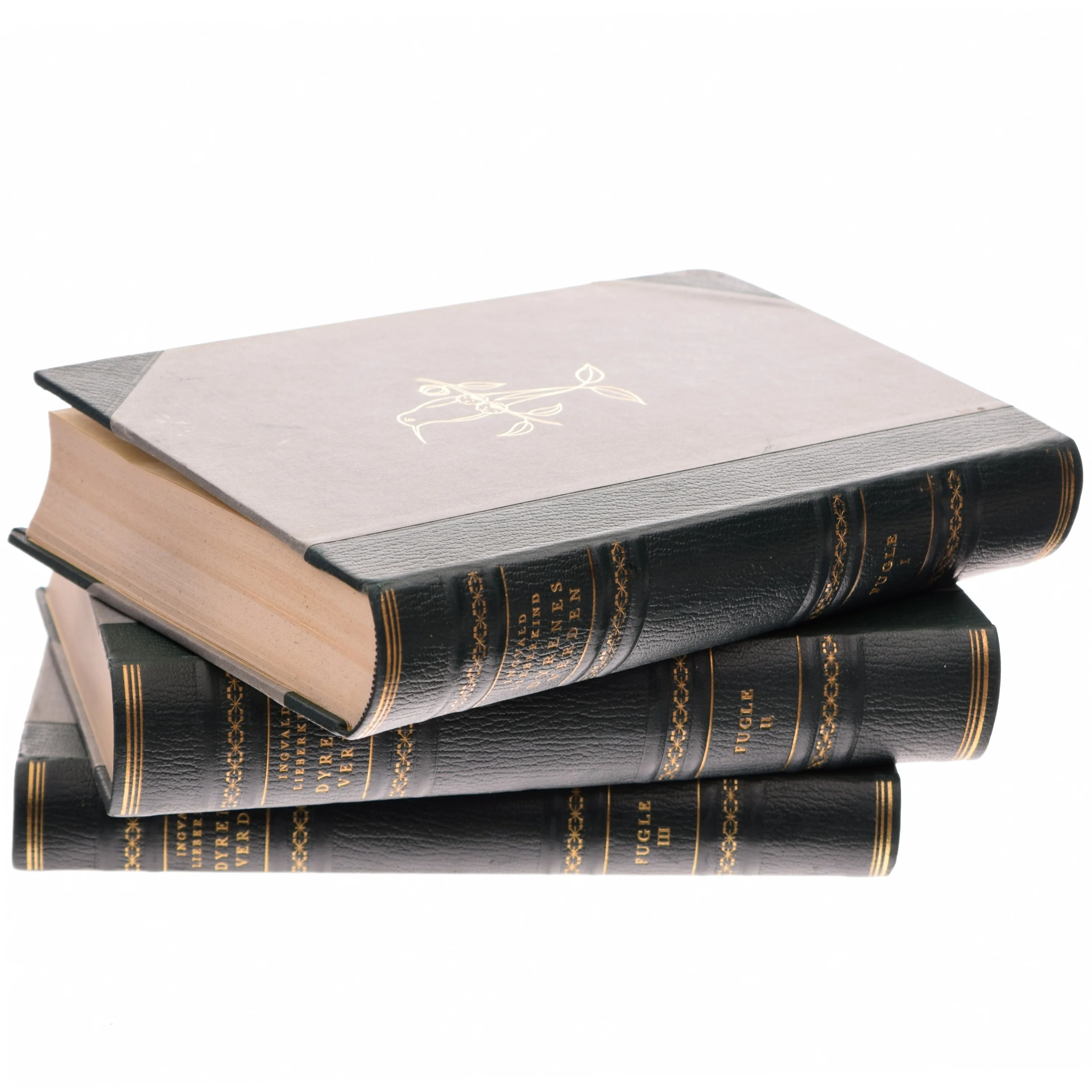 Danske Fugle i Toner og Farver af <Bogens forfattere> (Bog)