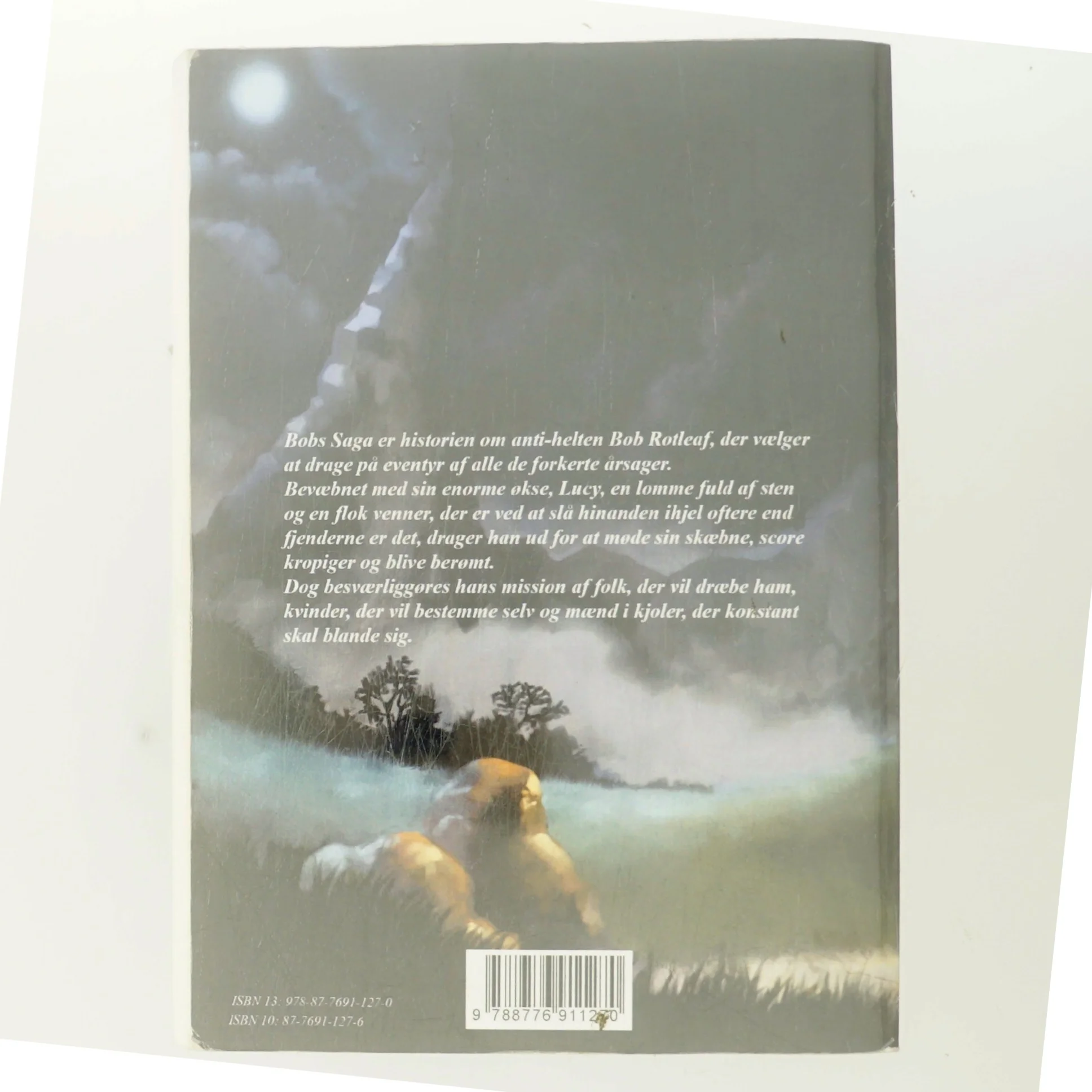 Bobs saga. Bind 1, Tørre tæsk og springskaller af Michael Kamp (f. 1974) (Bog)