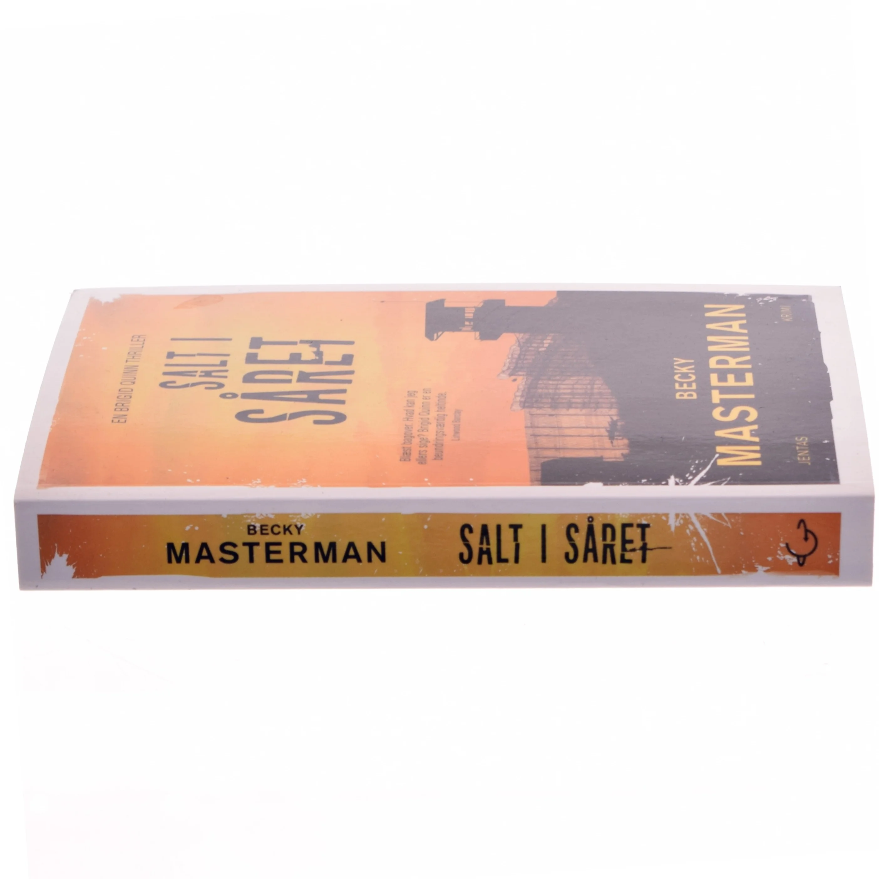 Salt i såret af Becky Masterman (Bog)