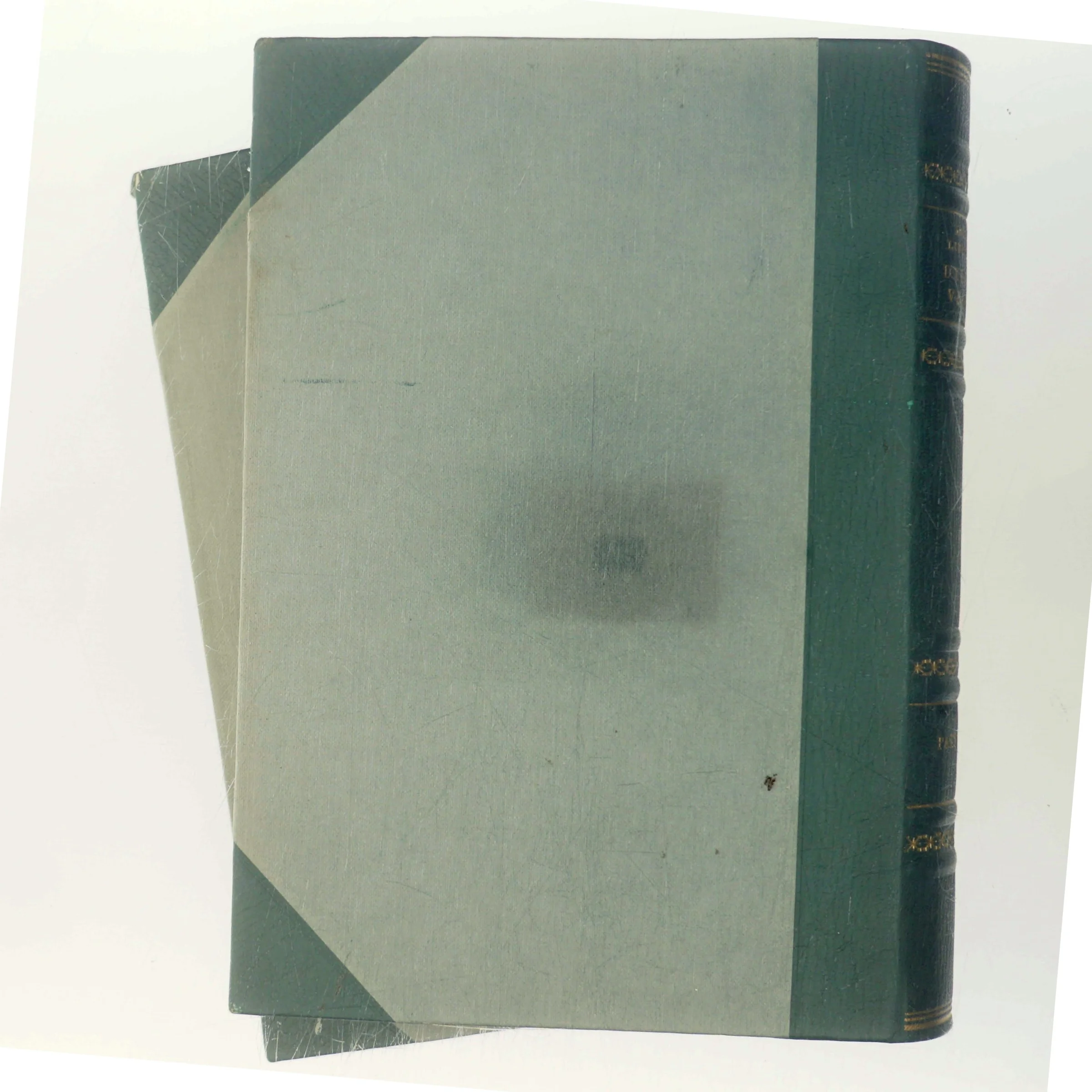 Dyrenes Verden af Axel Sterri (Bog)