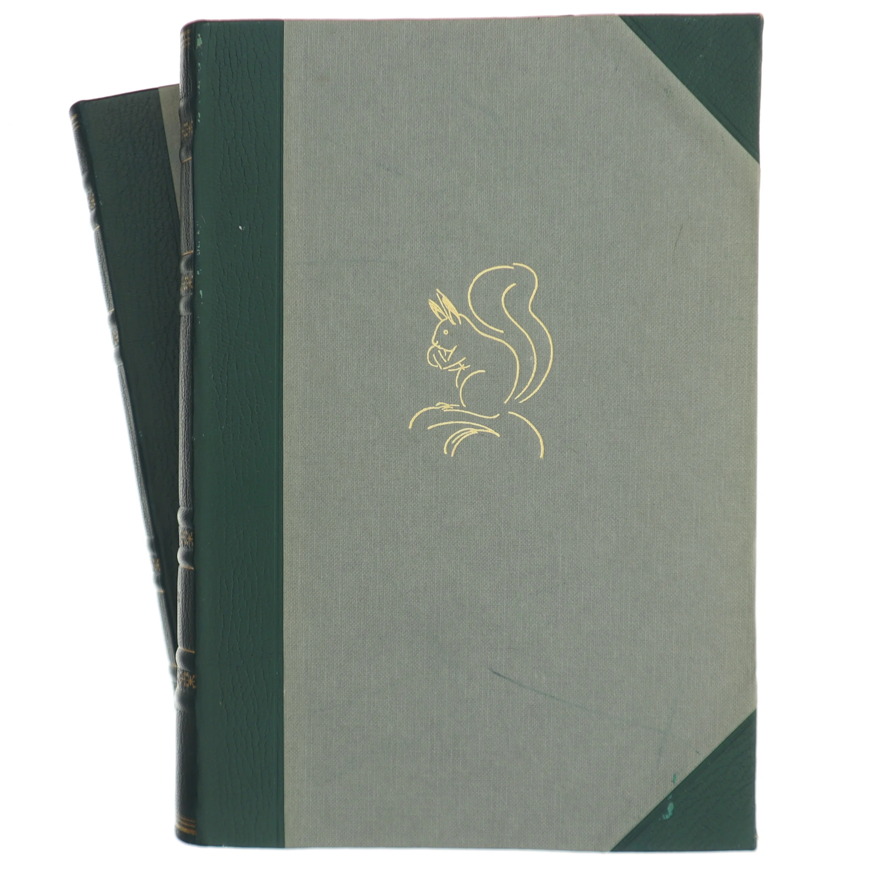 Dyrenes Verden af Axel Sterri (Bog)