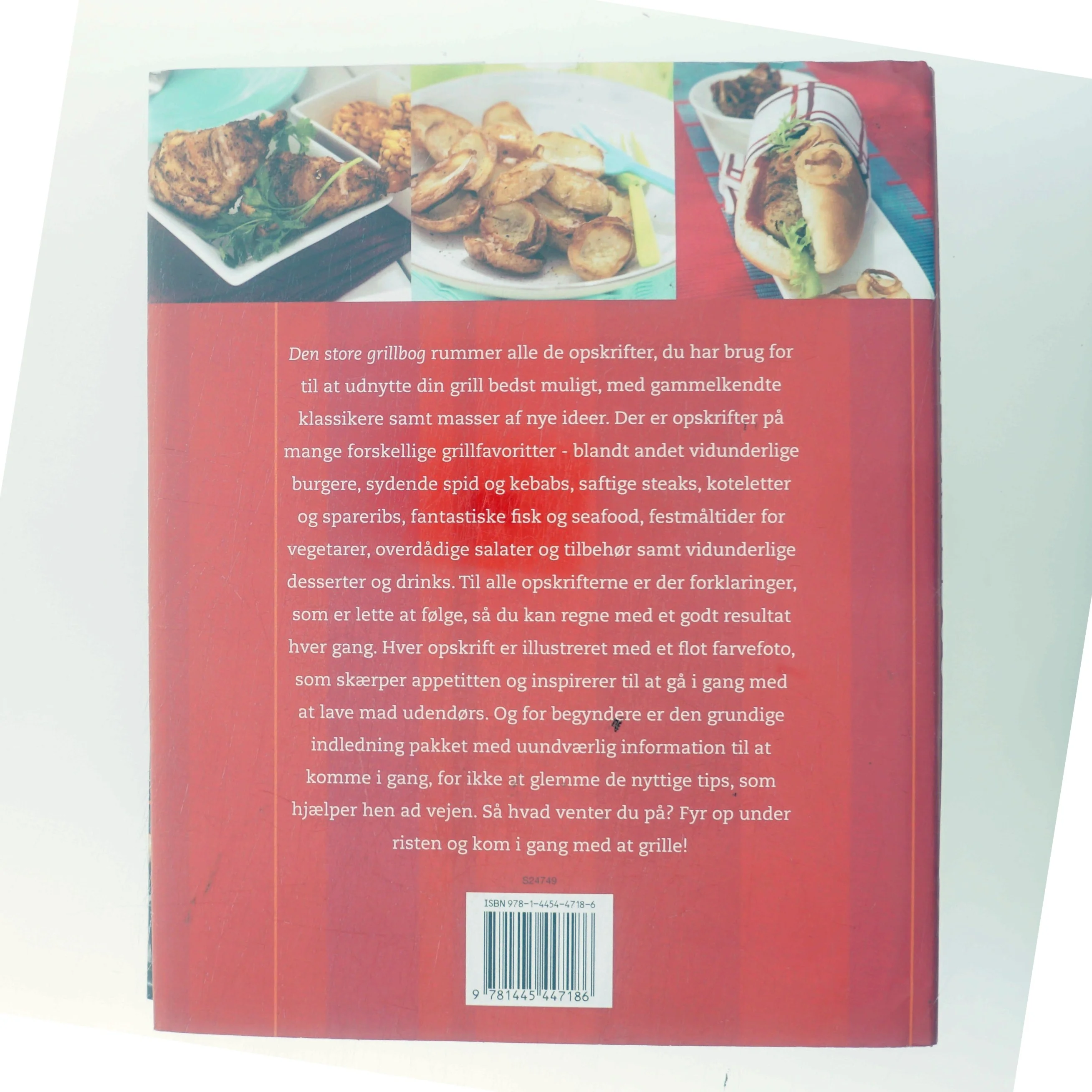 Den store grillbog