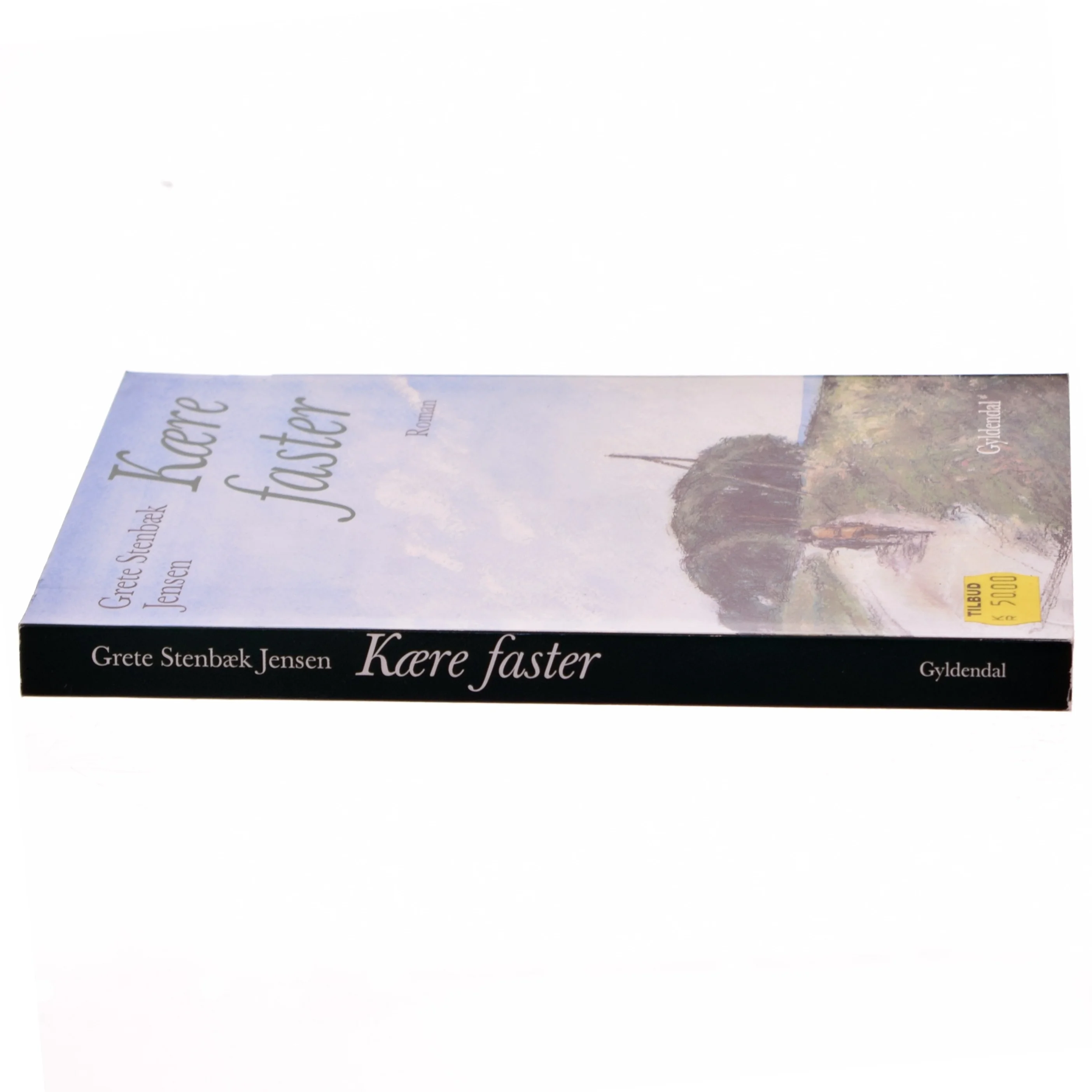 Kære faster af Grete Stenbæk Jensen (Bog)