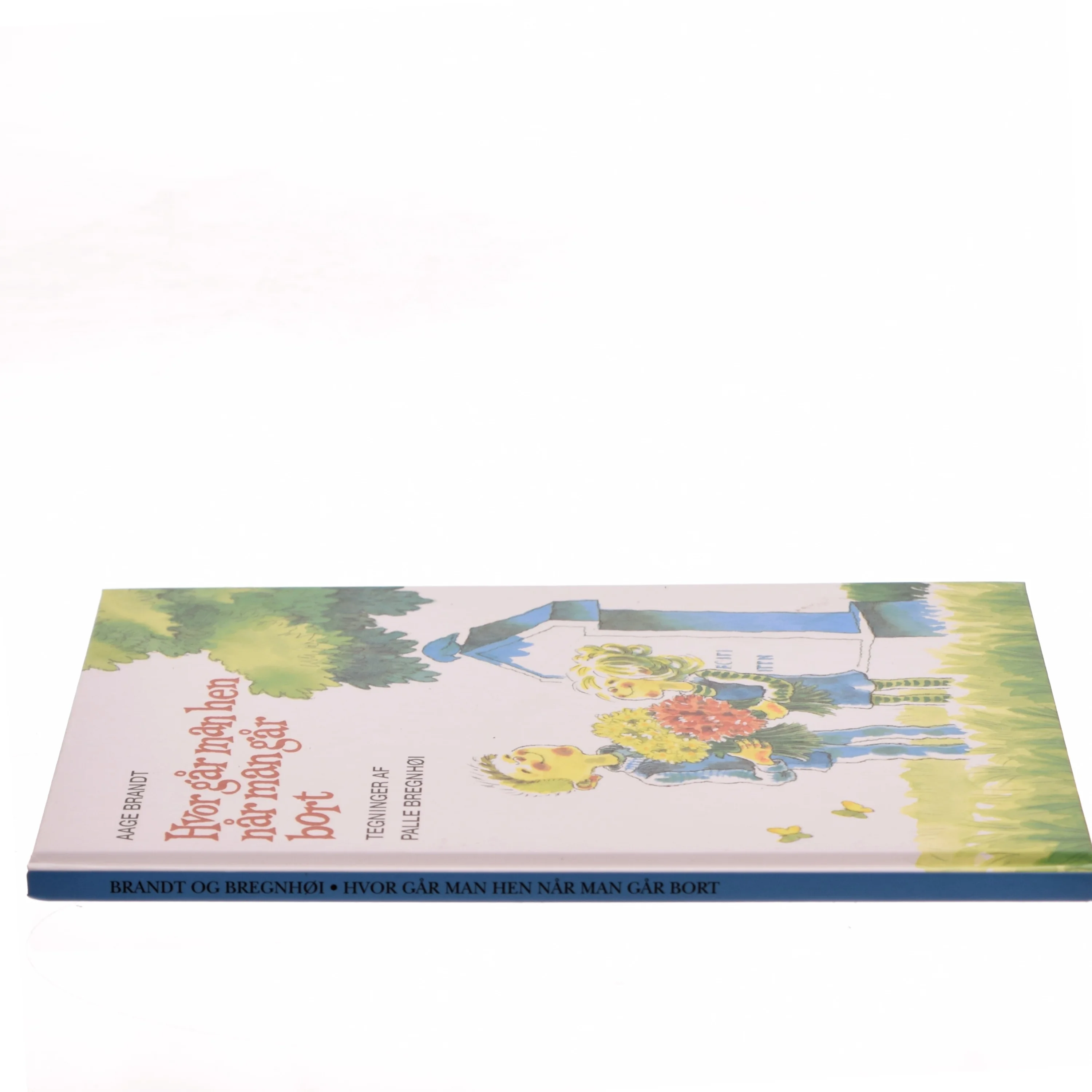 Hvor går man hen når man går bort (Bog)