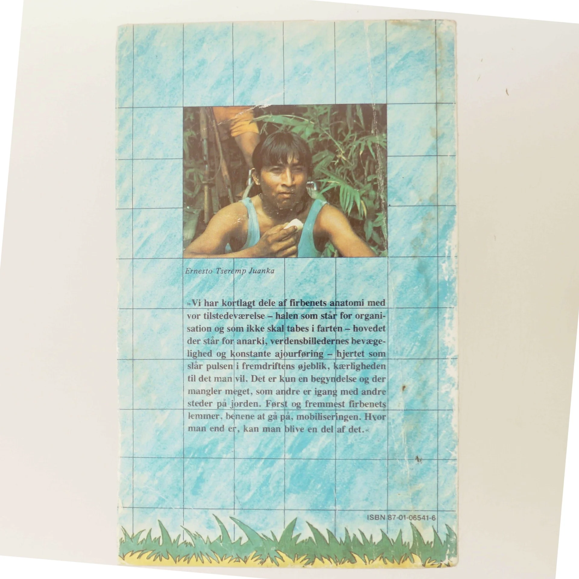 Rejsen til det grønne firben af Ib Michael (Bog)