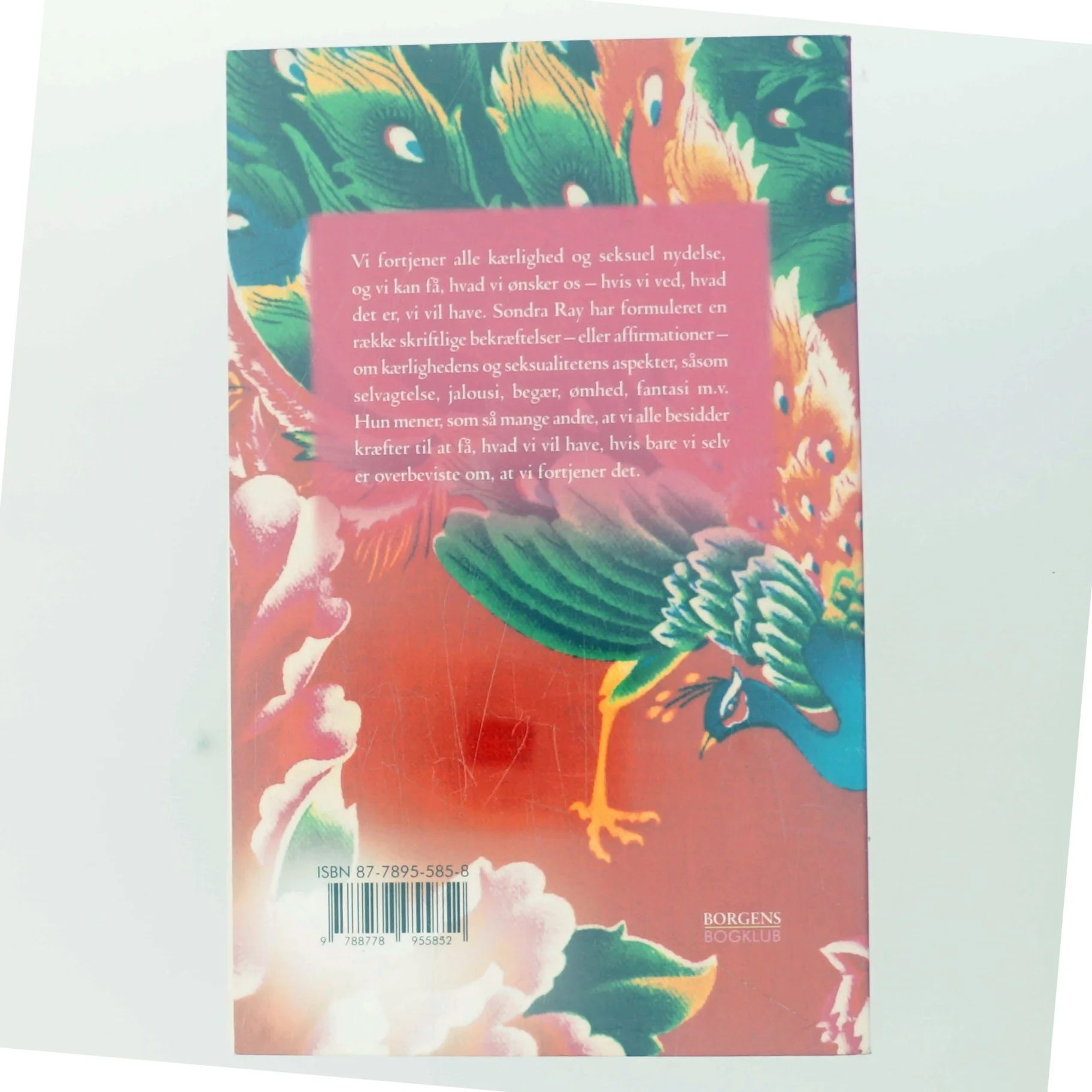 Jeg fortjener kærlighed : hvordan du får den kærlighed du ønsker af Sondra Ray (Bog)