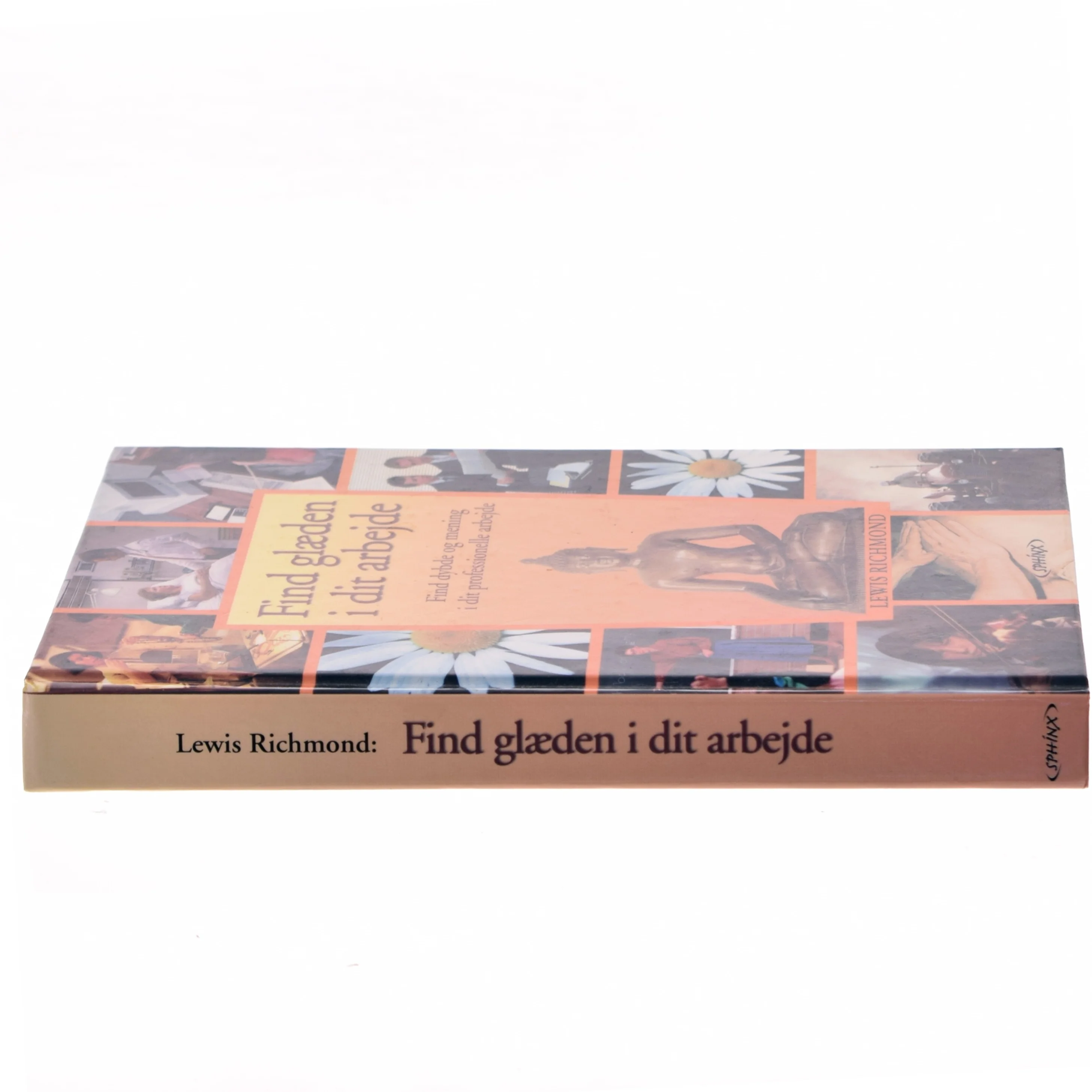 Find glæden i dit arbejde : fyld dit arbejde med dybde og mening af Lewis Richmond (Bog)