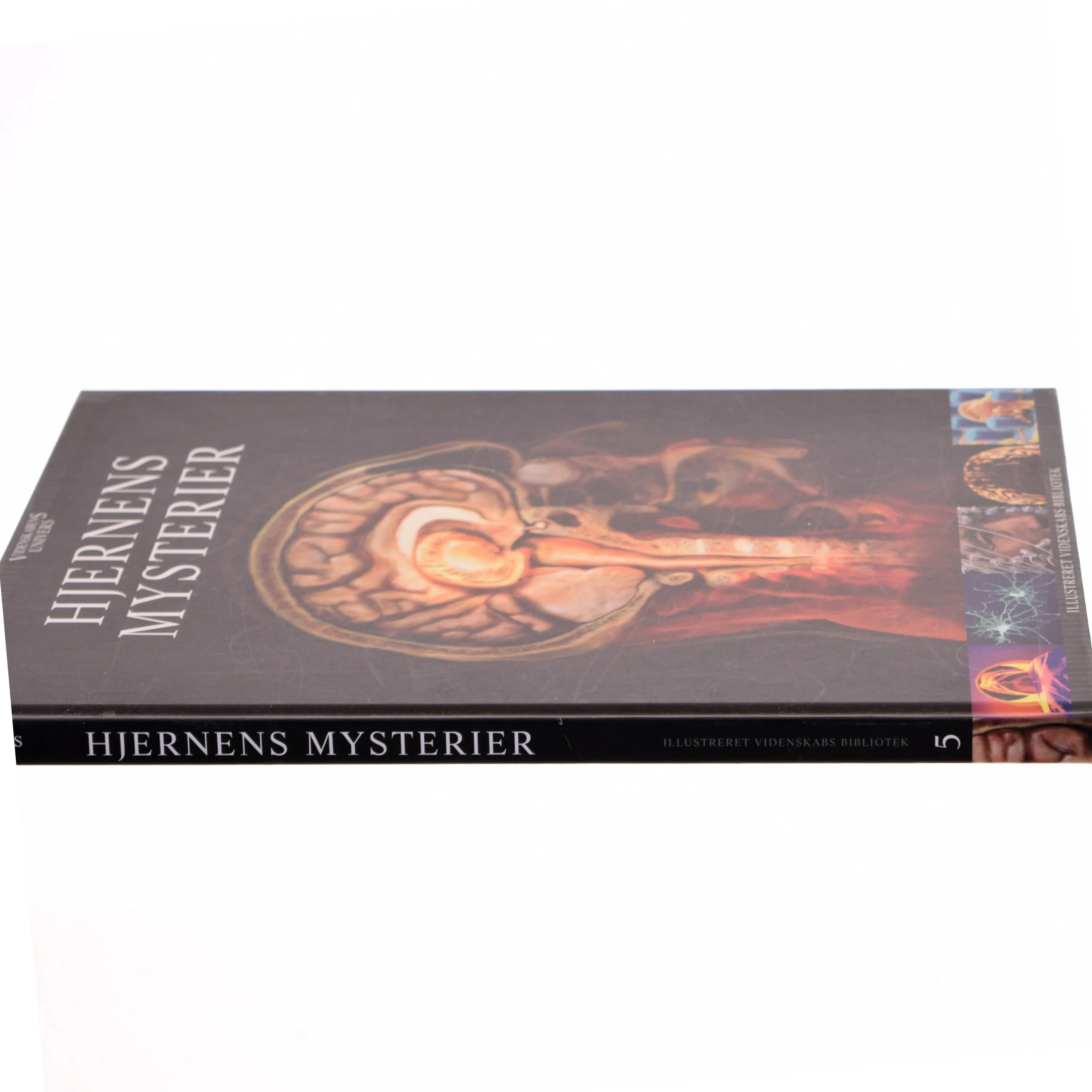 Hjernens Mysterier (Bog)