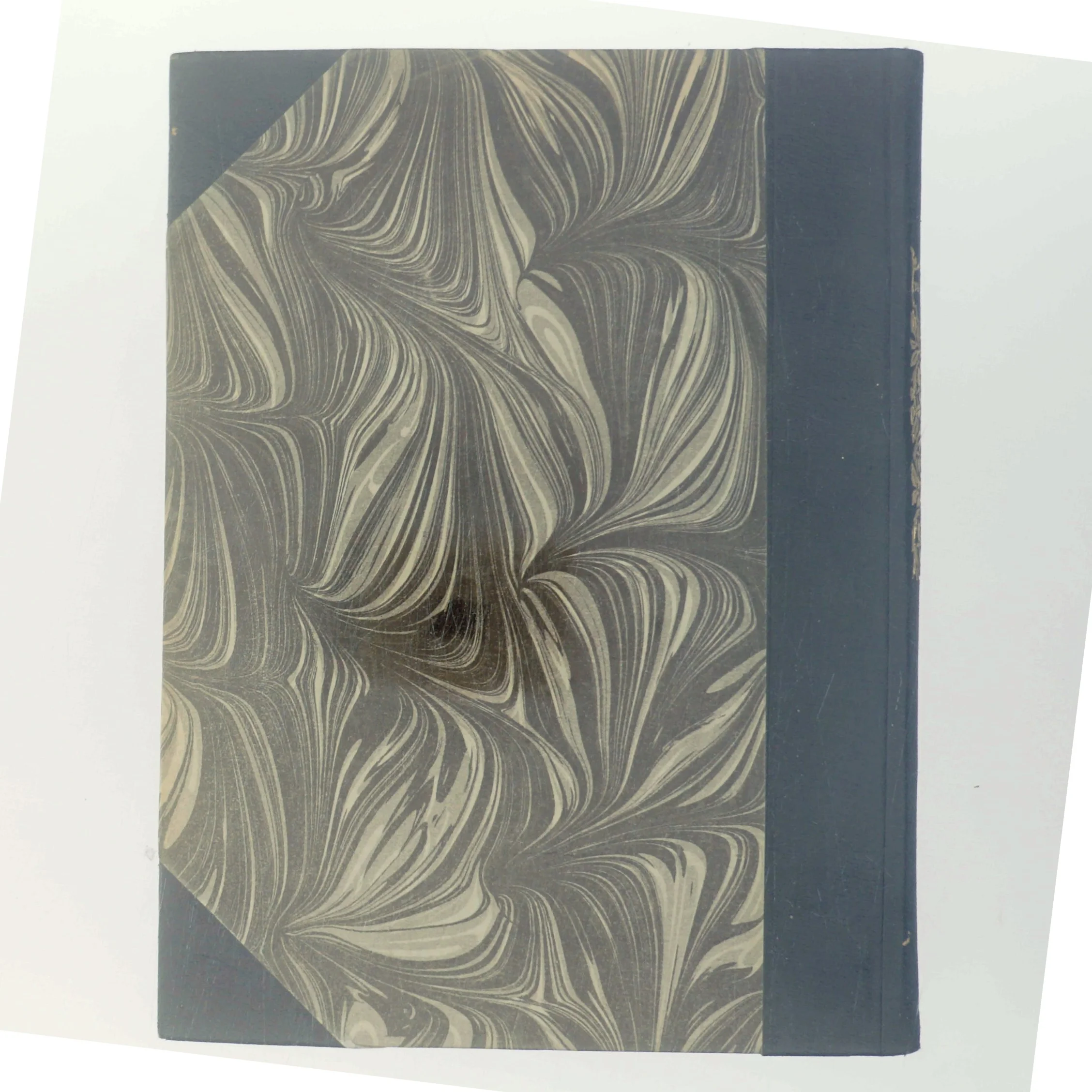 Bog titel ikke synlig af Bogens forfattere ikke synlige (Bog)