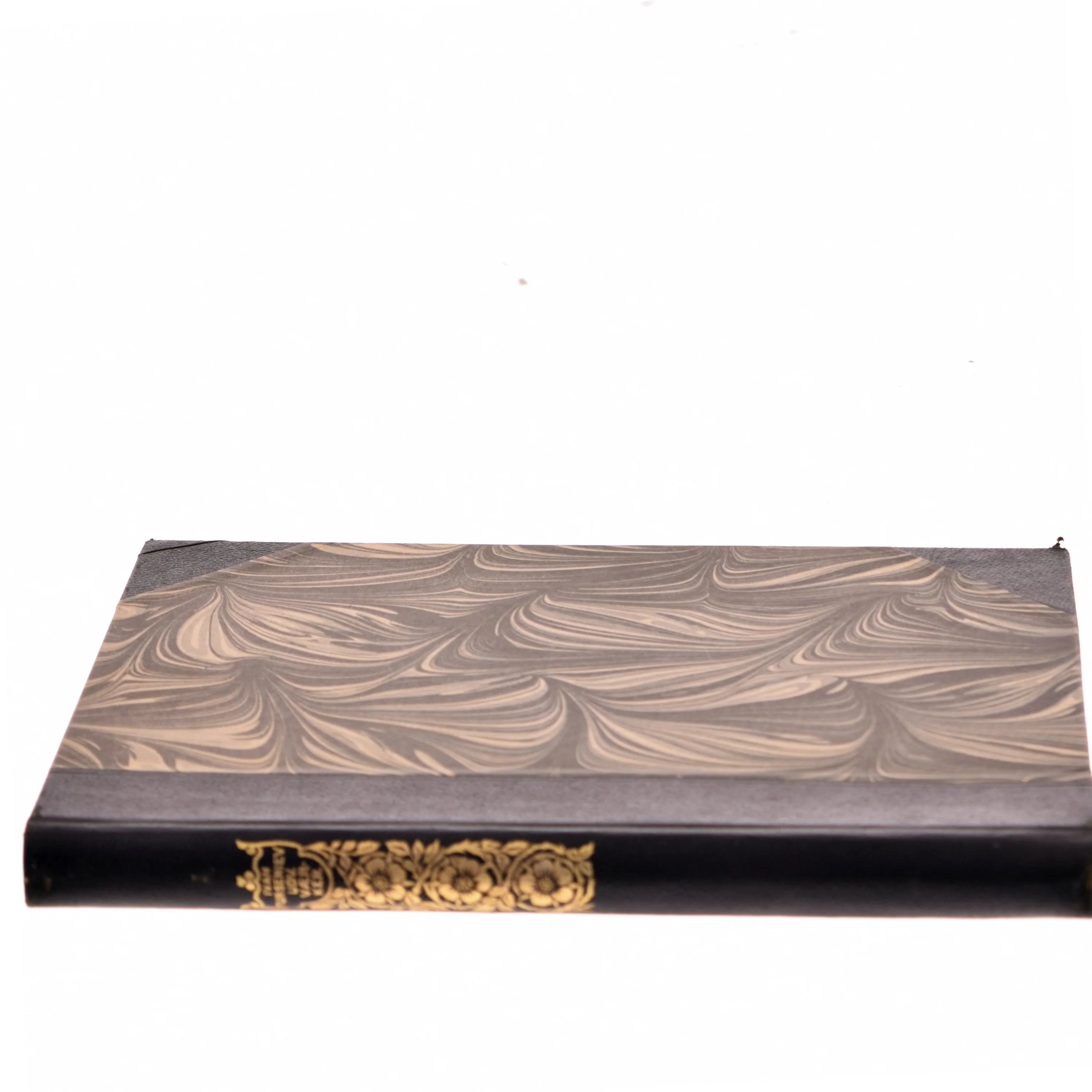 Bog titel ikke synlig af Bogens forfattere ikke synlige (Bog)