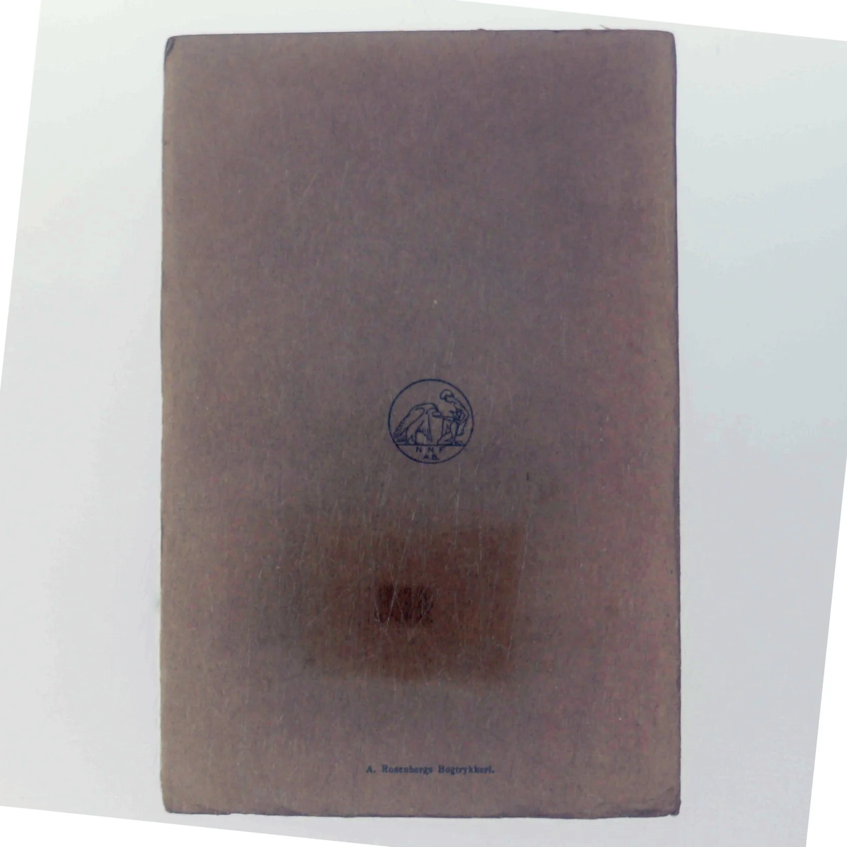 Kaspar Hauser af Johannes E. Hohlenberg (Bog)