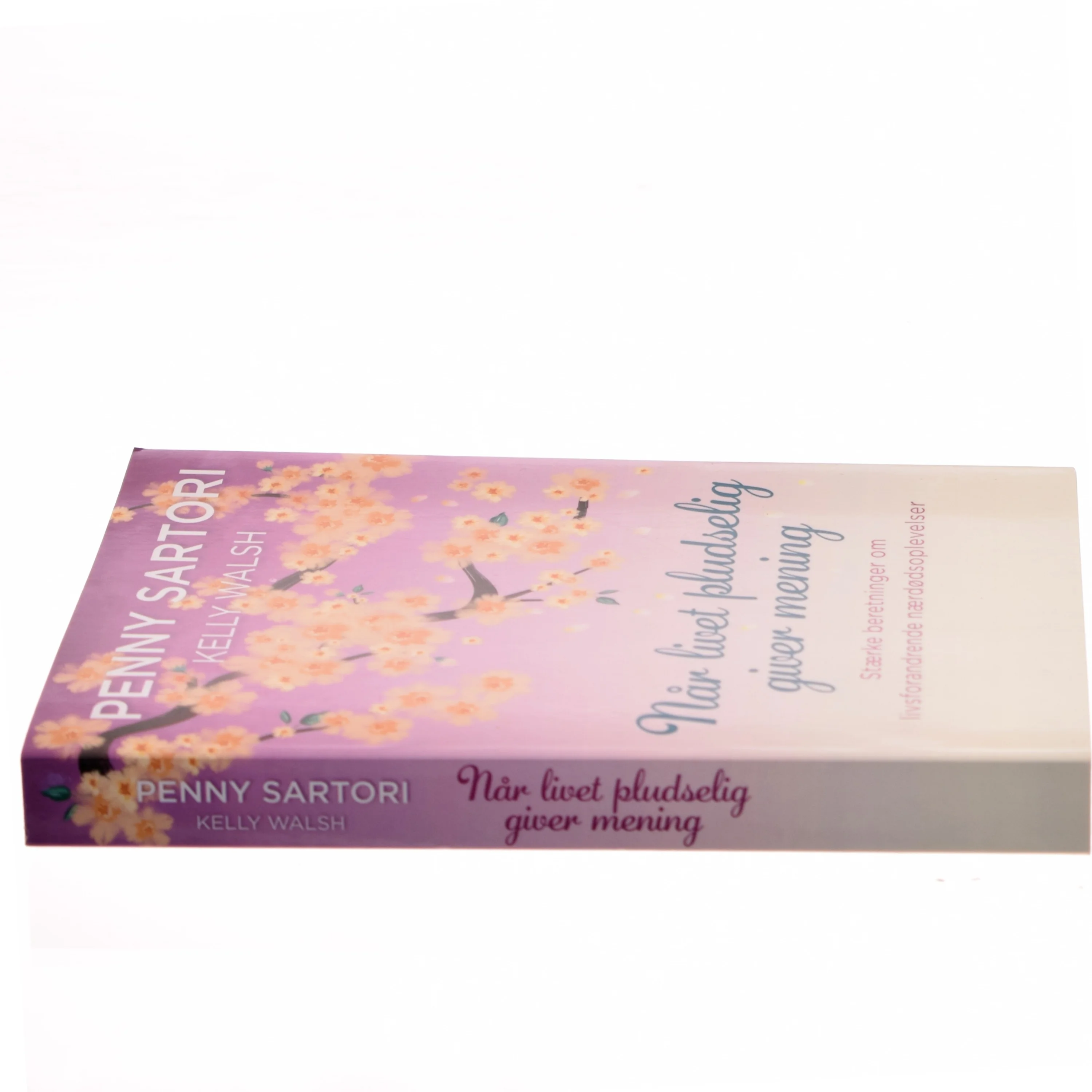 Når livet pludselig giver mening : stærke beretninger om livsforandrende nærdødsoplevelser af Penny Sartori (Bog)