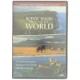 Scenic Walks Around the World DVD-samling fra Reader's Digest
