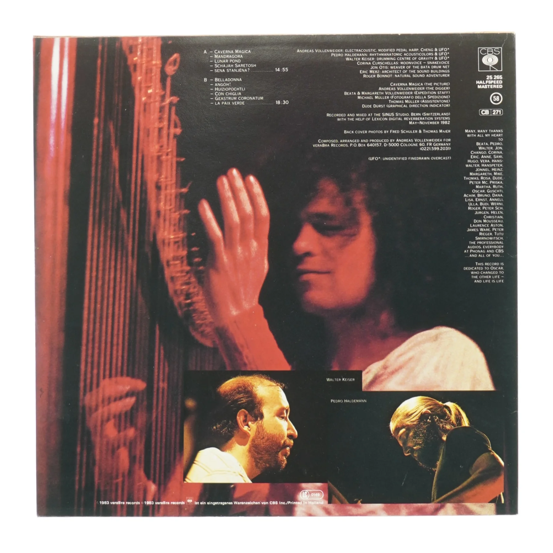 Andreas Vollenweider: under the tree, in the cave (str. 30 cm)