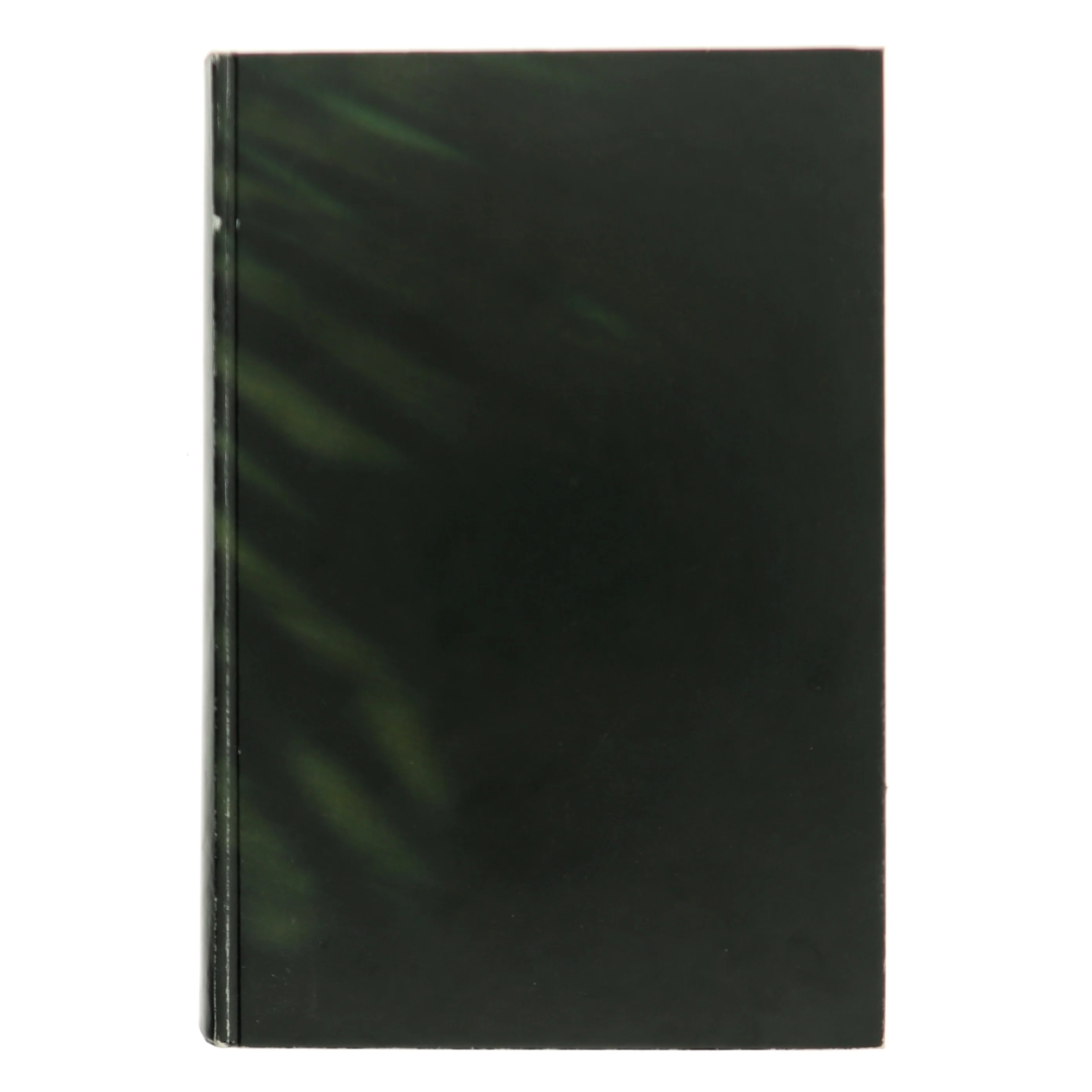 Skrædderen fra Panama af John Le Carré (Bog)