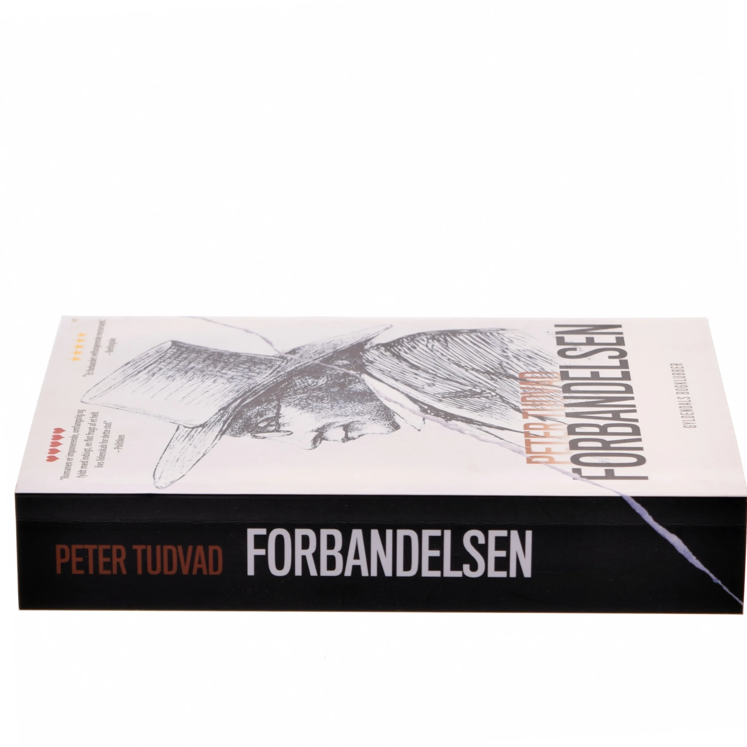 Forbandelsen af Peter Tudvad (Bog)