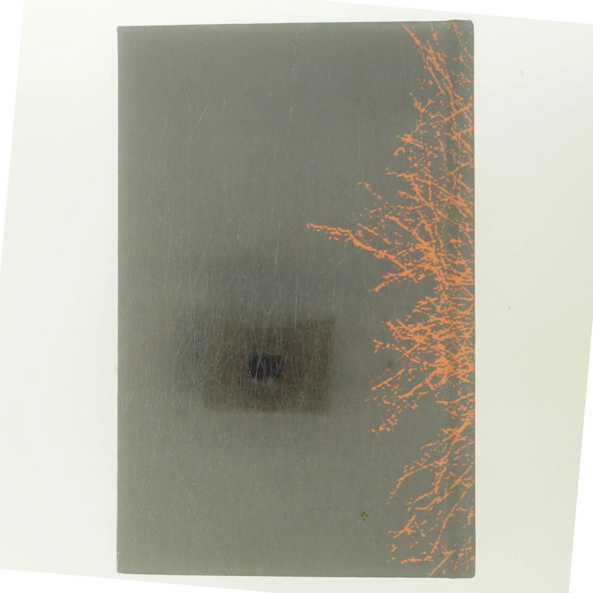 Et sted i verden af Katrine Marie Guldager (Bog)