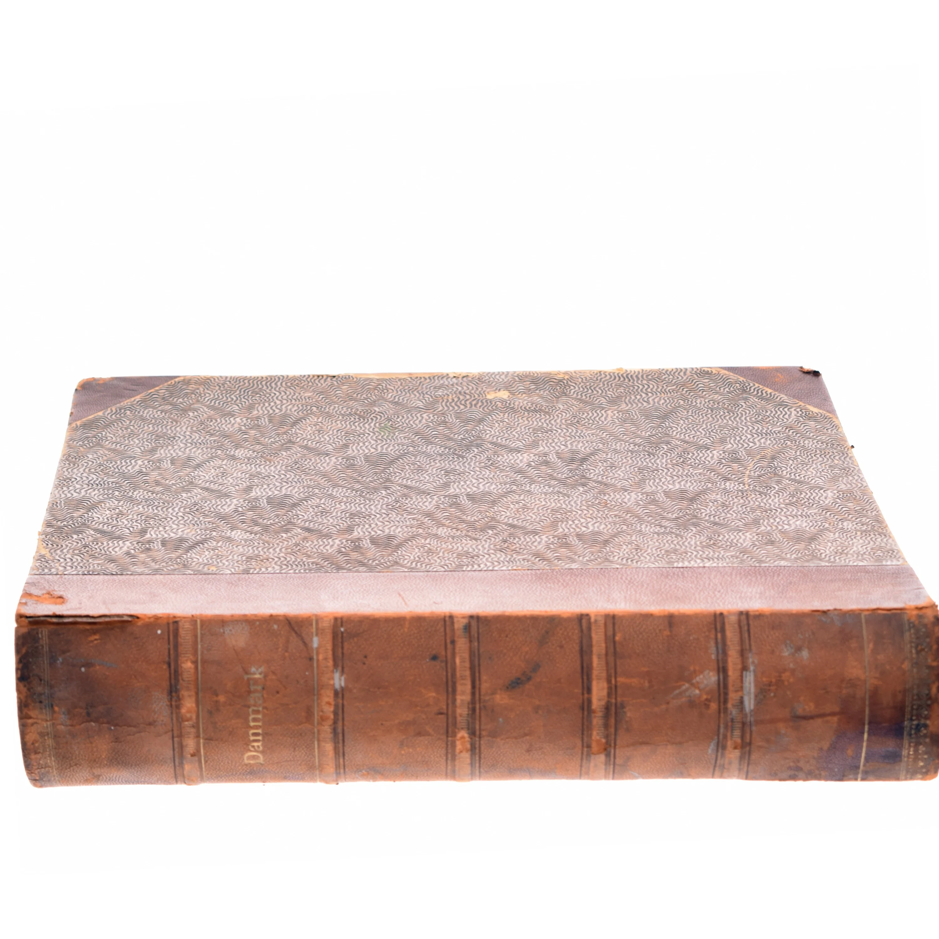 Danmark i Skildringer og Billeder af M. Galschiøt (Bog)