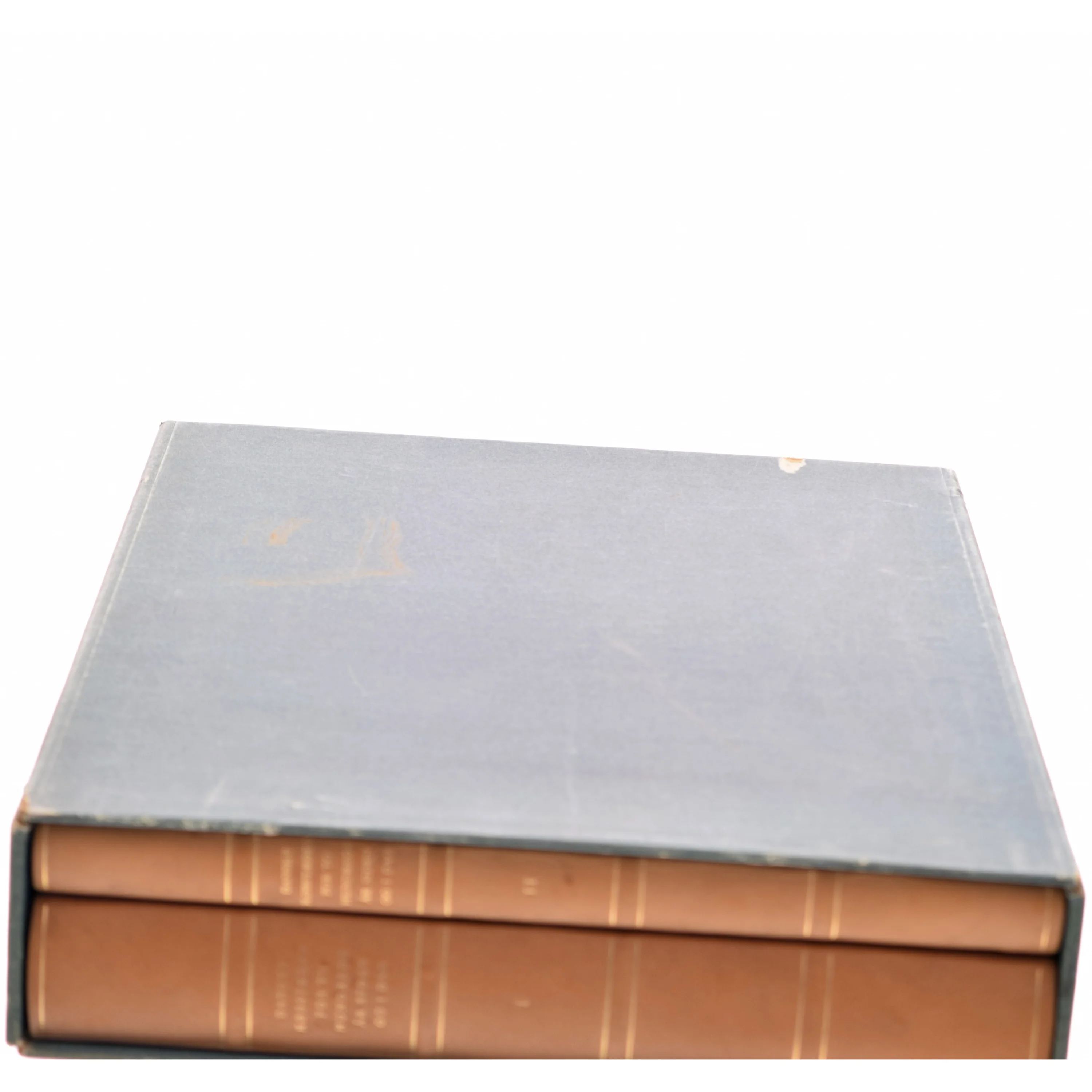 Danske Købstæder for to Hundrede År Siden og i Dag af Mogens Lebech (Bog)