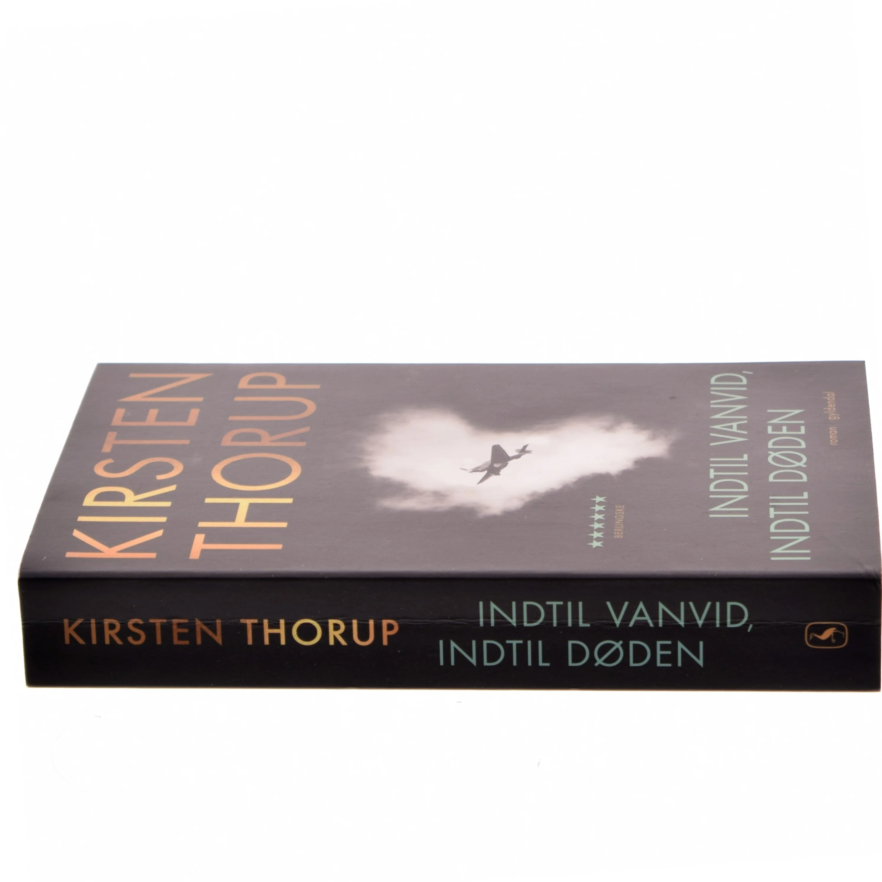 Indtil vanvid, indtil døden : roman af Kirsten Thorup (Bog)