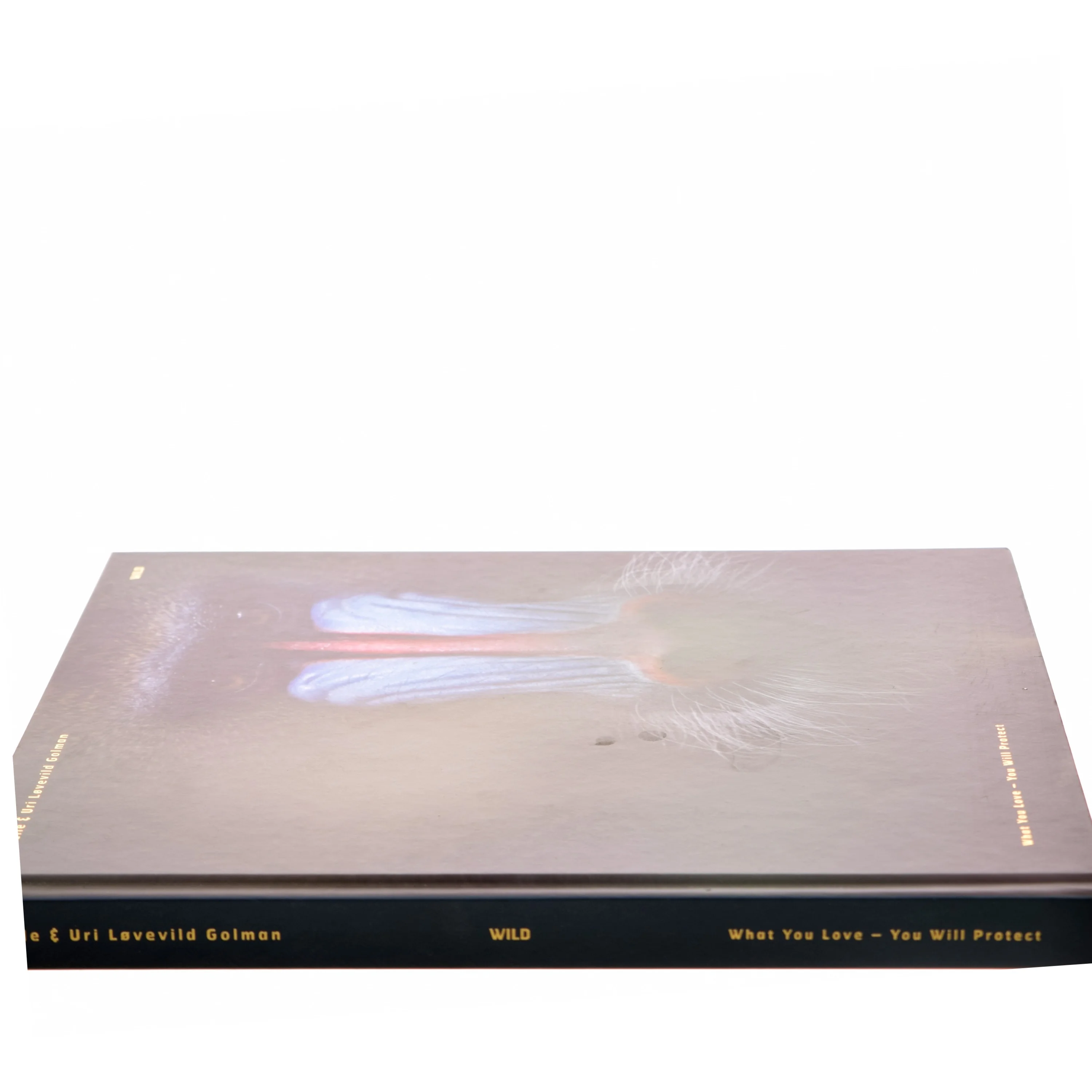 WILD af Helle Løvevild Golman (f. 1974-12-18) (Bog)