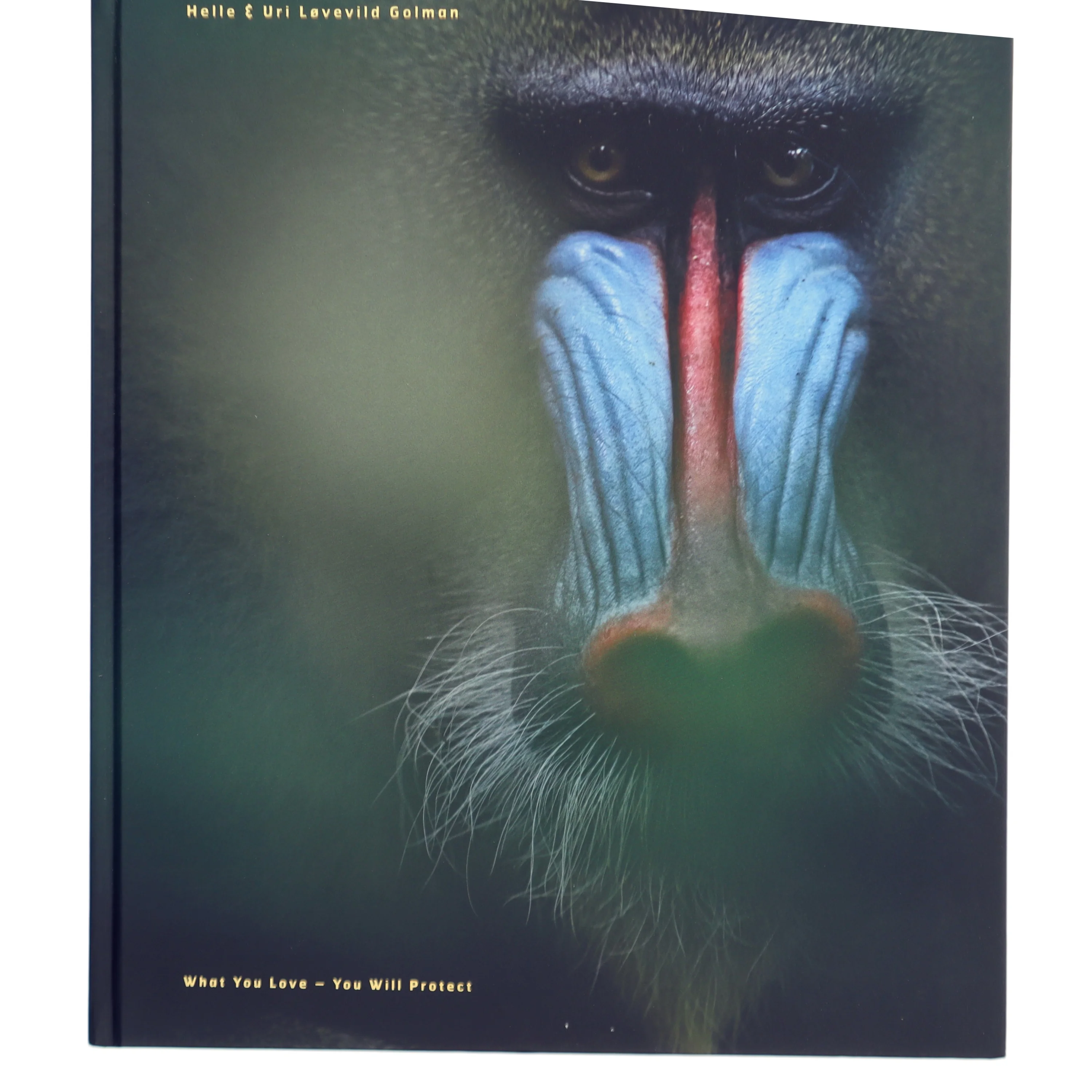 WILD af Helle Løvevild Golman (f. 1974-12-18) (Bog)