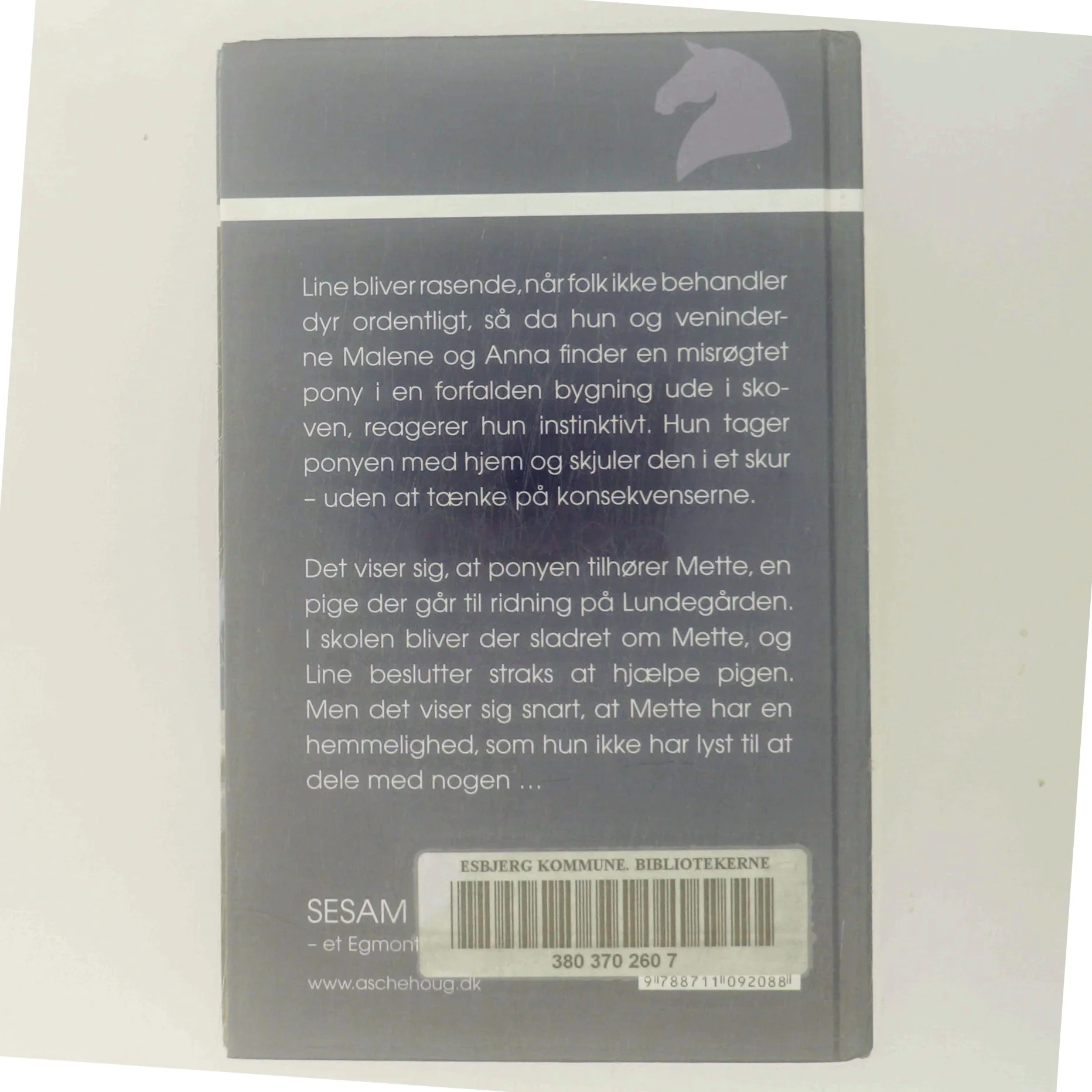 Nye Veninder af Eva Andersen (Bog)