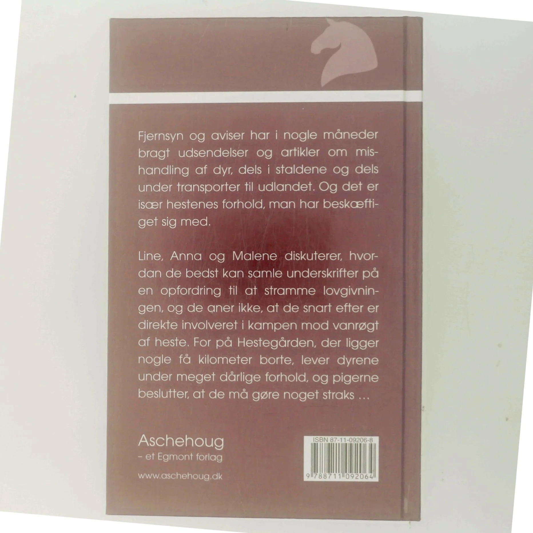 En farlig plan af Eva Andersen (f. 1937) (Bog)