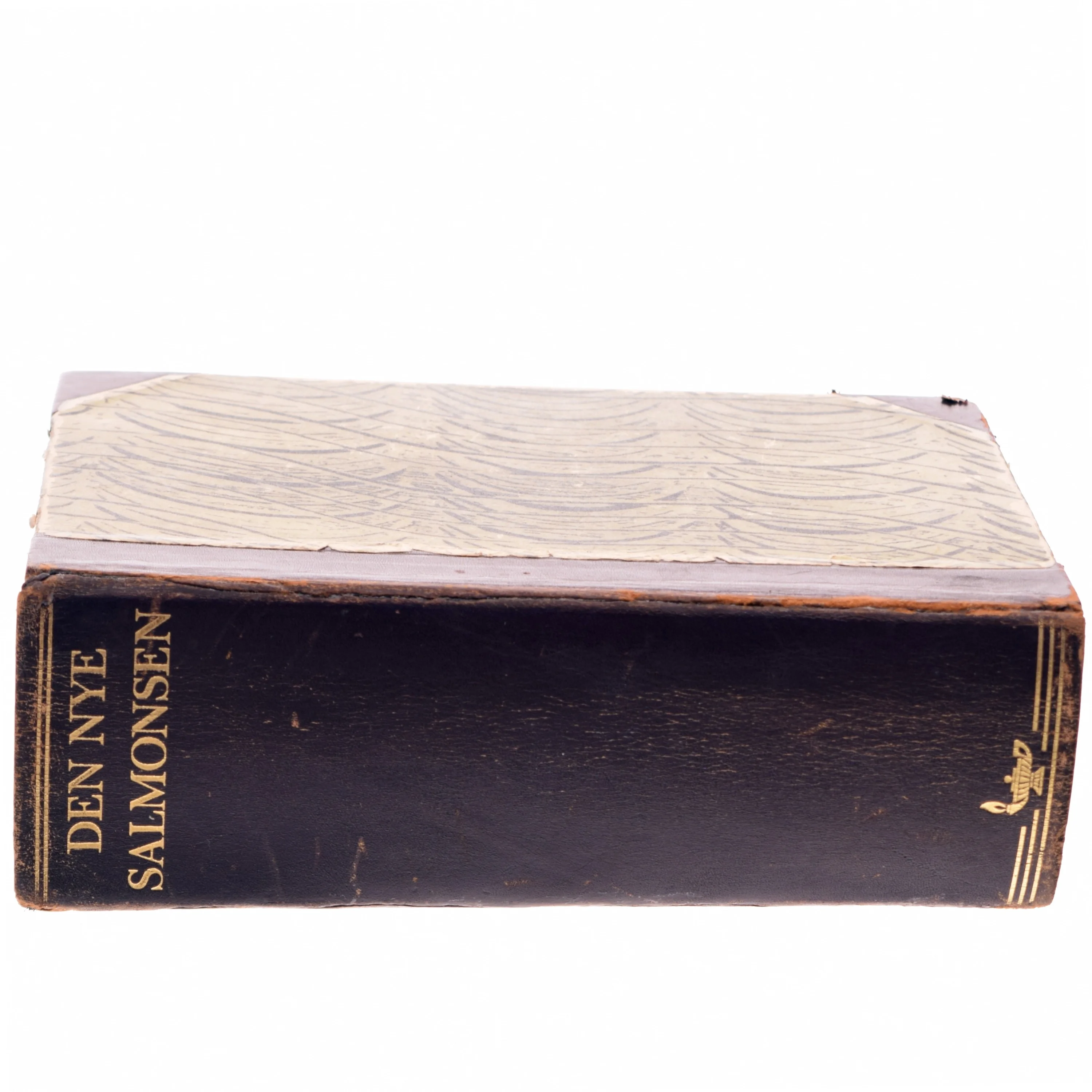 Den Nye Salmonsen (Bog)