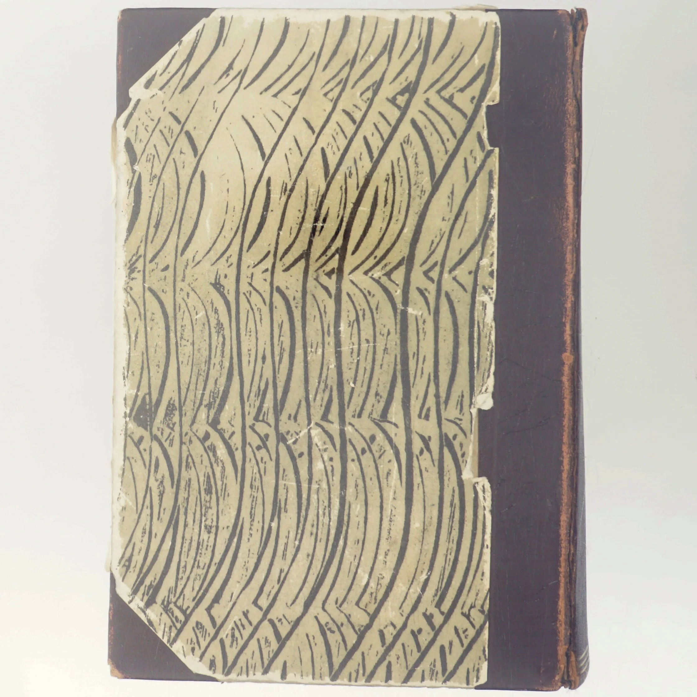 Den Nye Salmonsen (Bog)