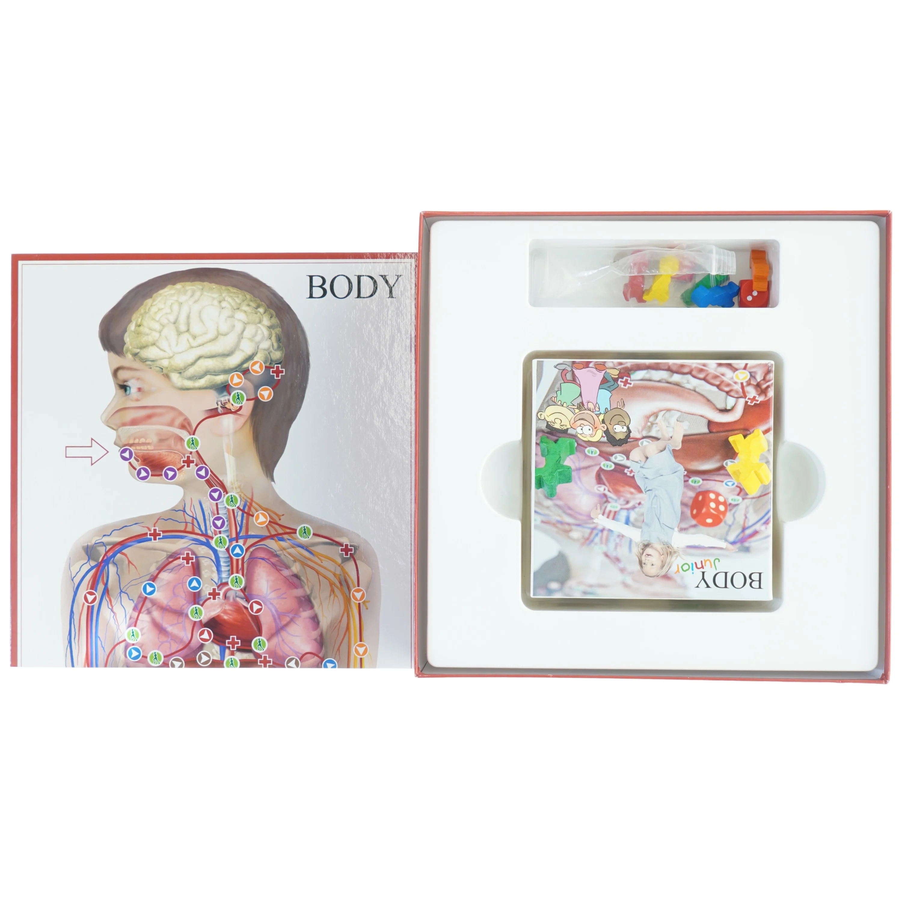 BodyIQ Junior - brætspil (str. 26 x, 26 x 11 cm)