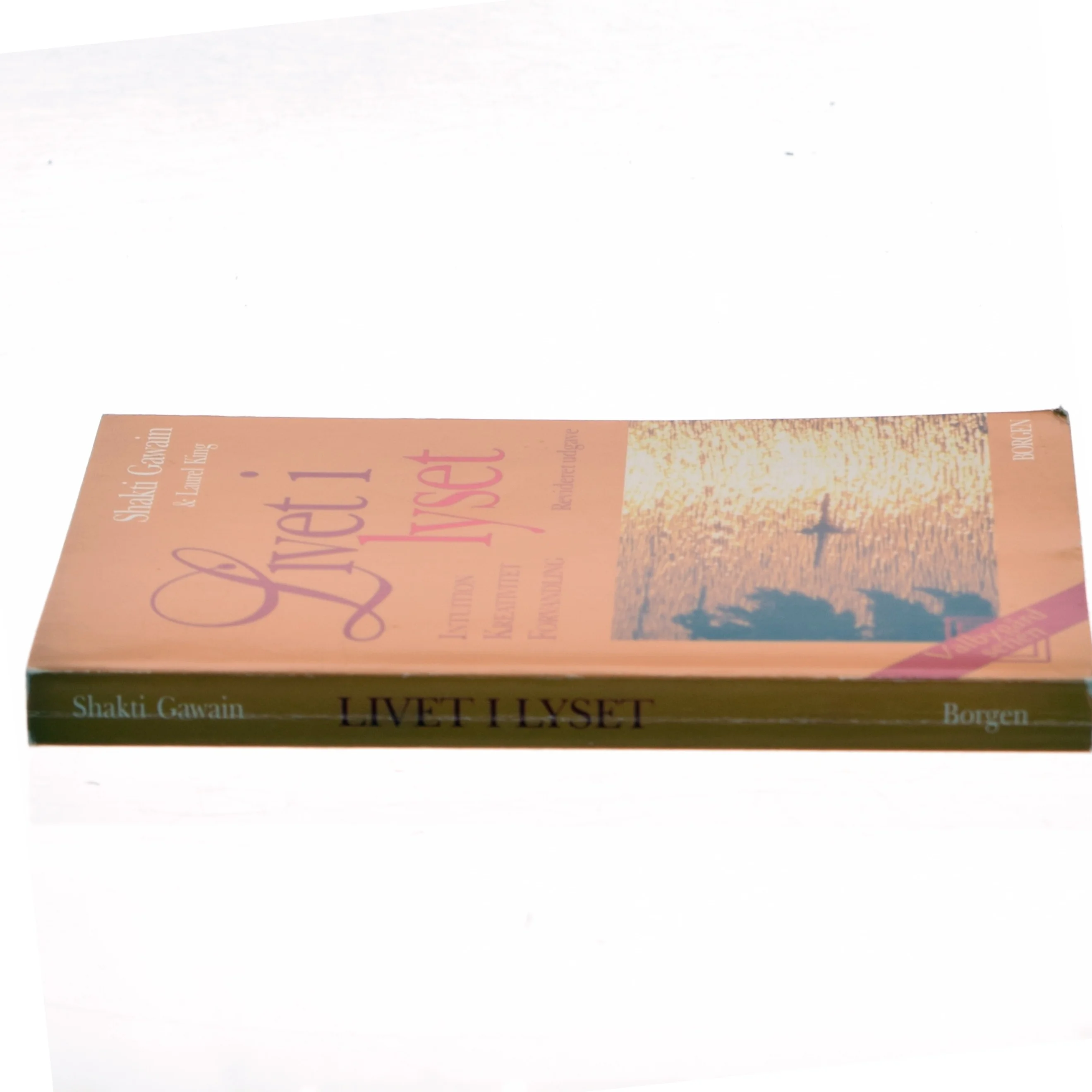 Livet i lyset : intuition, kreativitet, forvandling (Bog)