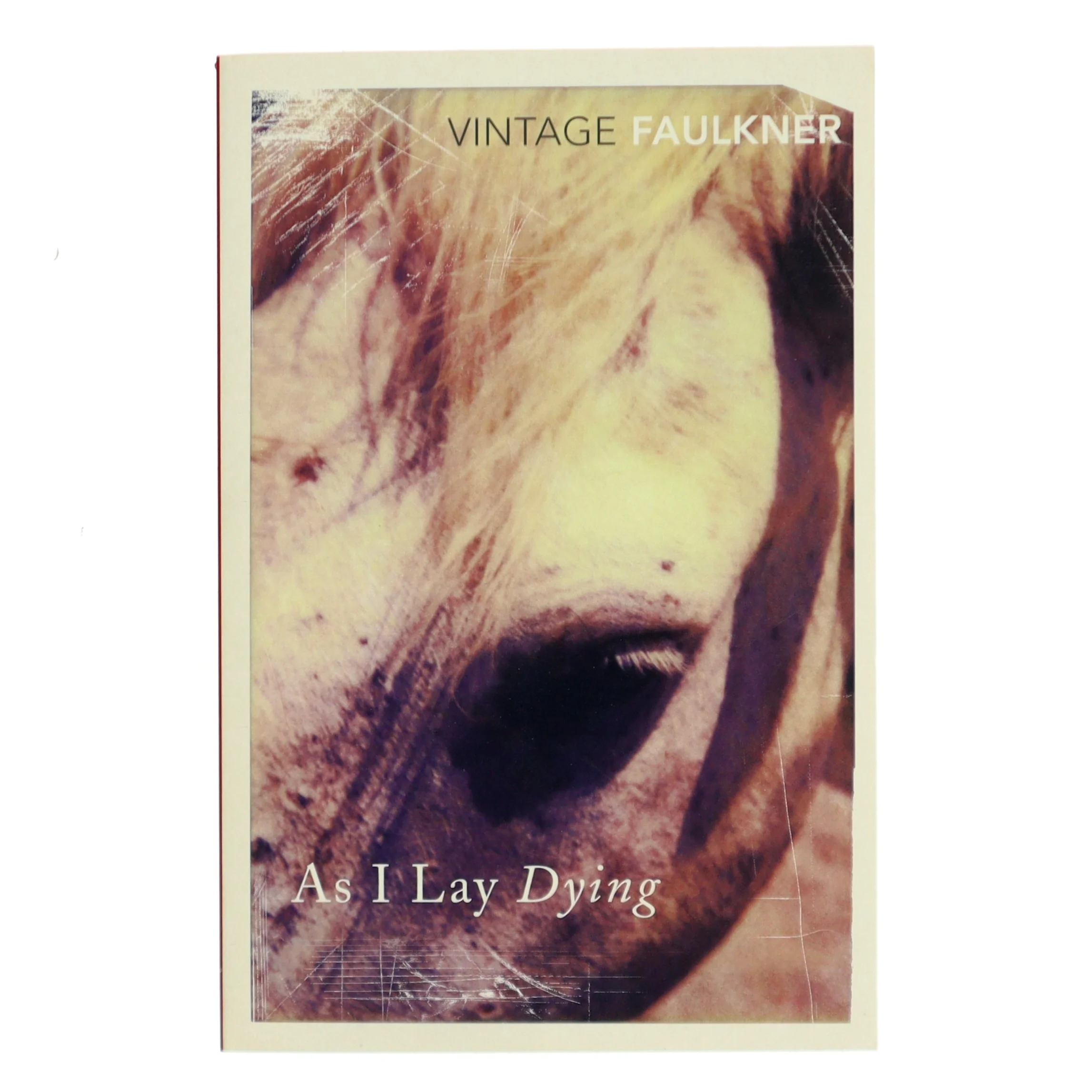 As I lay dying af William Faulkner (Bog)