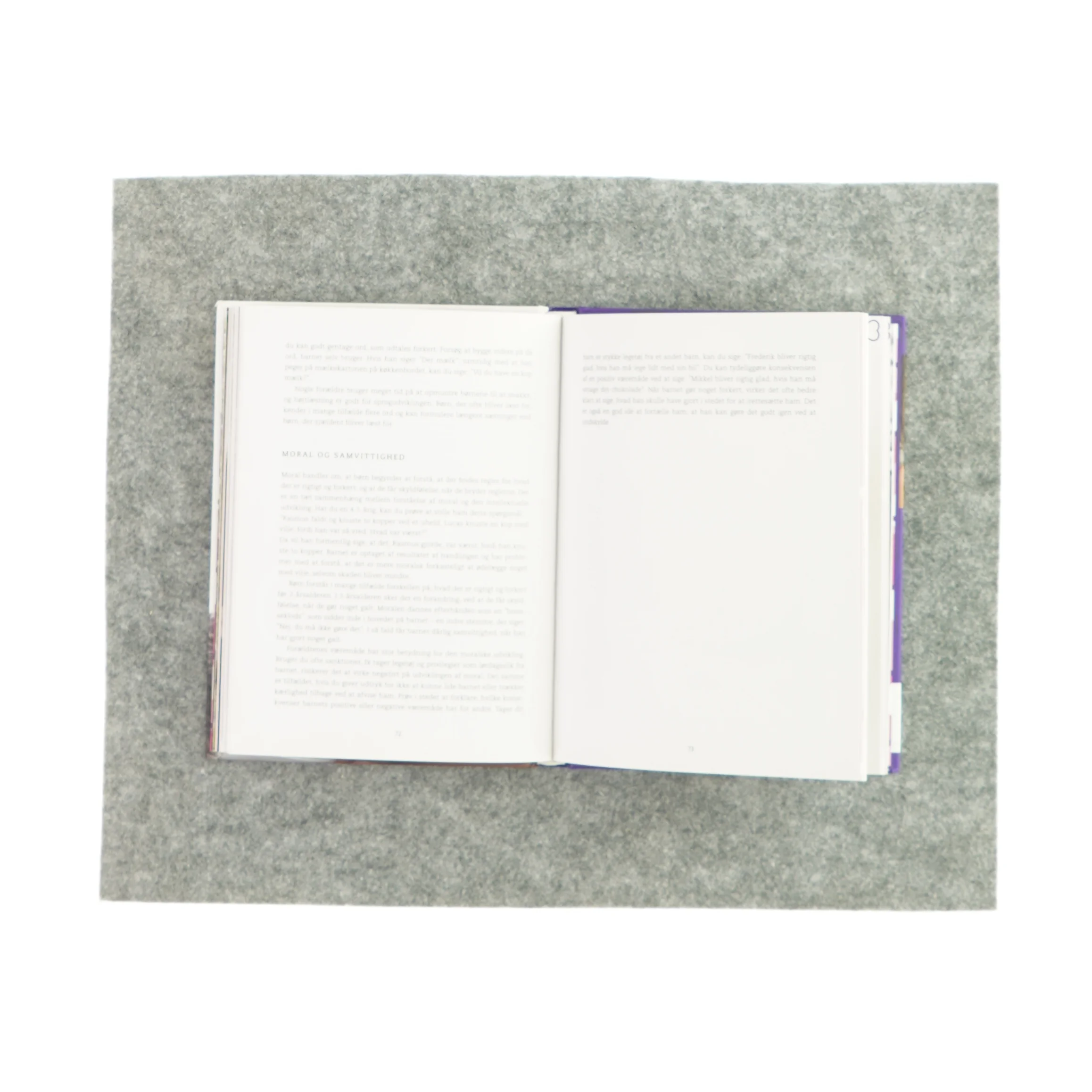 Forstå dit barn 2-5 år af Stein Erik Ulvund (bog)