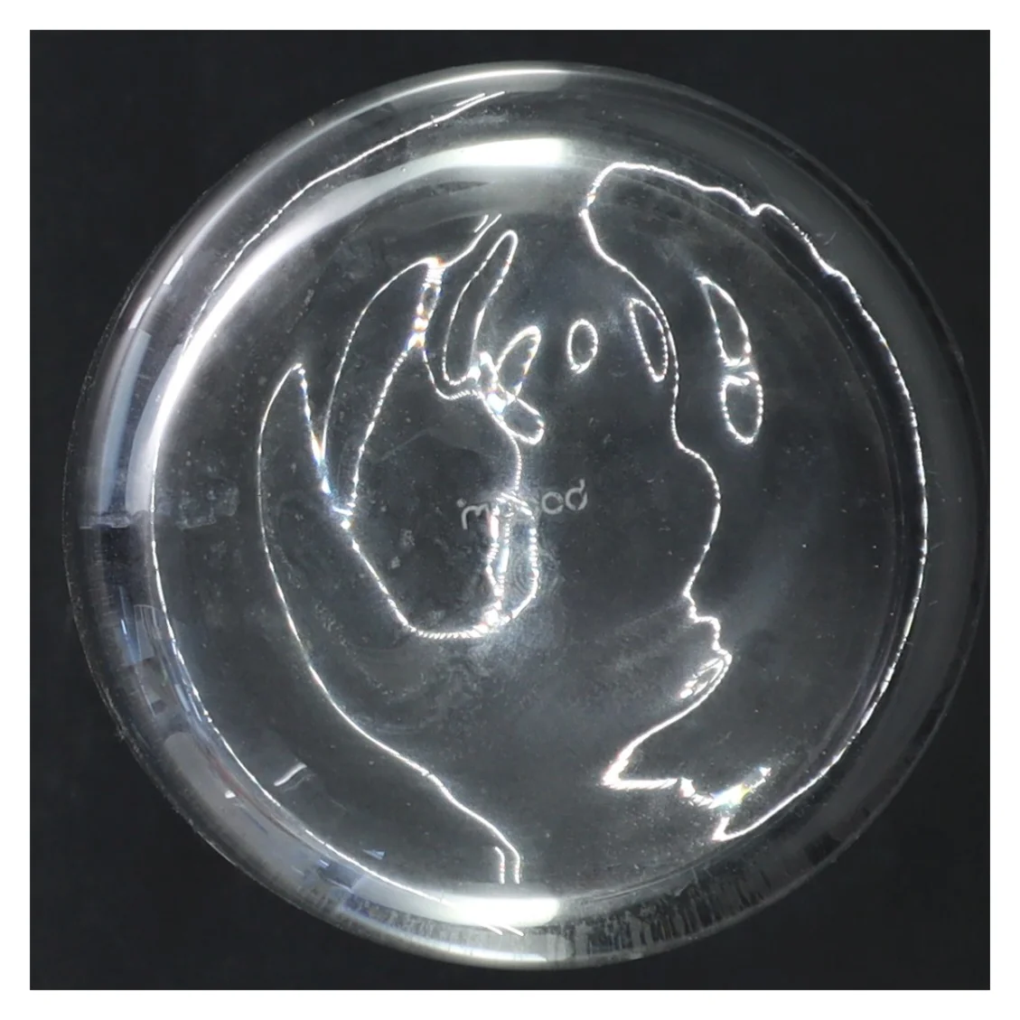 Karaffel fra Bodum (str. 22 cm)